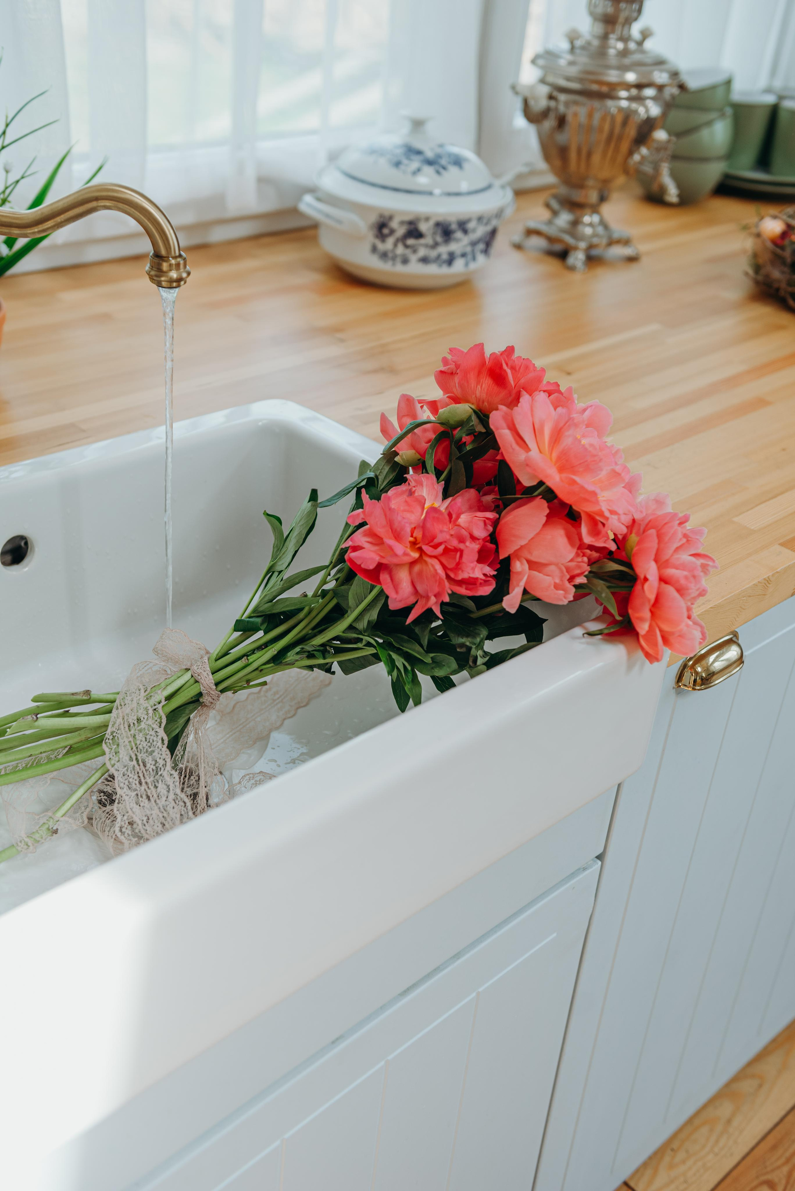 Запах — душа цветка. Фотограф Алена Нормальная в Санкт-Петербурге