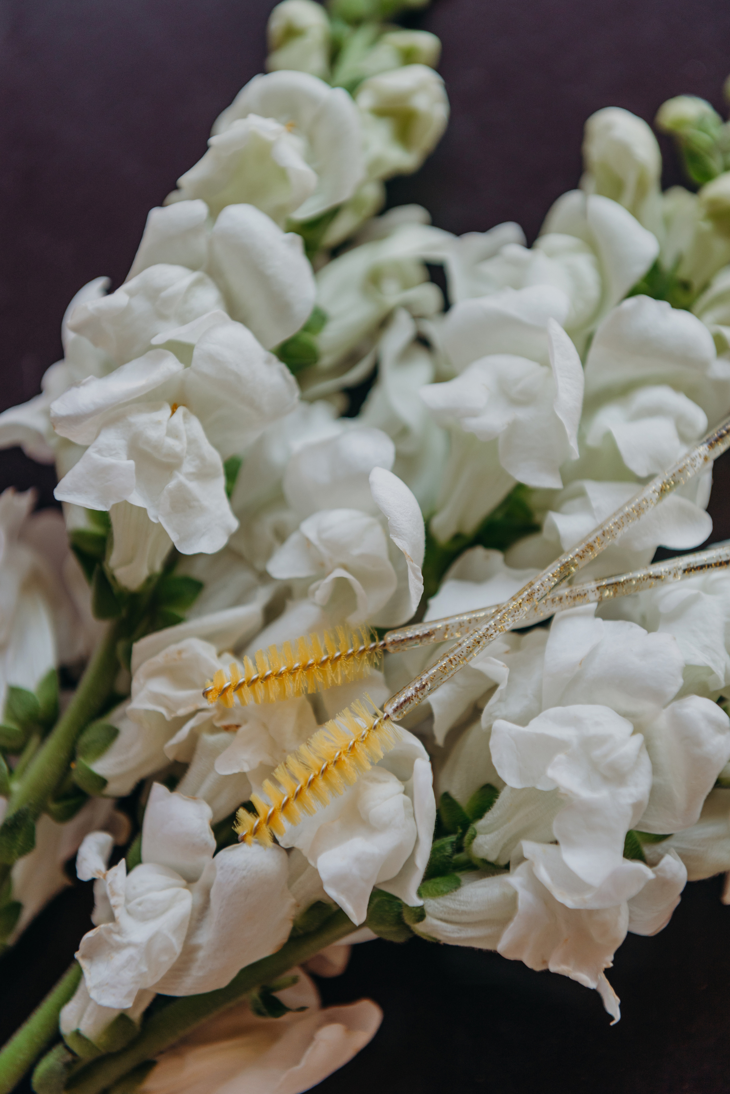 Оттенок тебя. Фотограф Алена Нормальная в Санкт-Петербурге