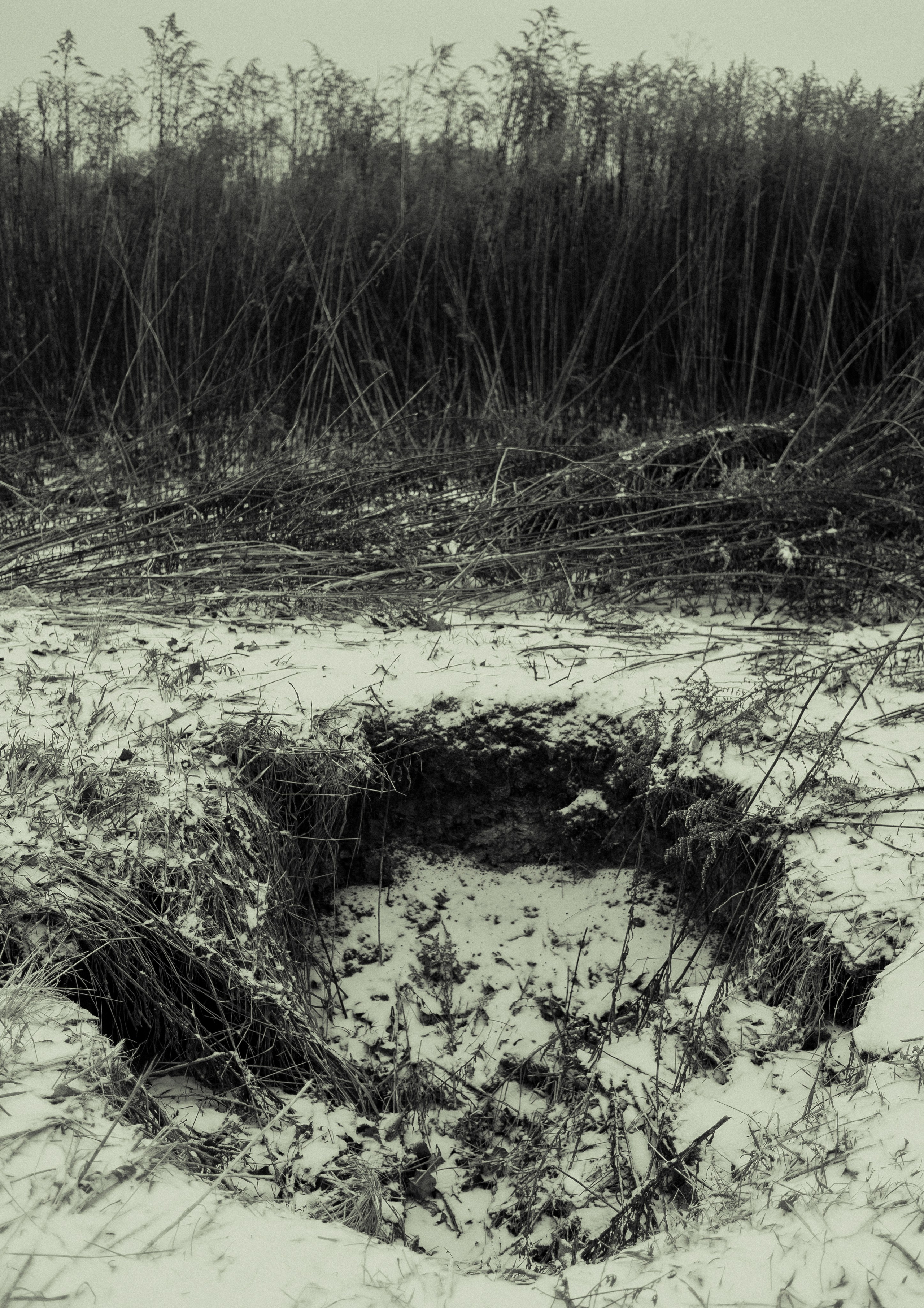 Работы вне серий — Сафонов Владислав. Сафонов Владислав, фотохудожник