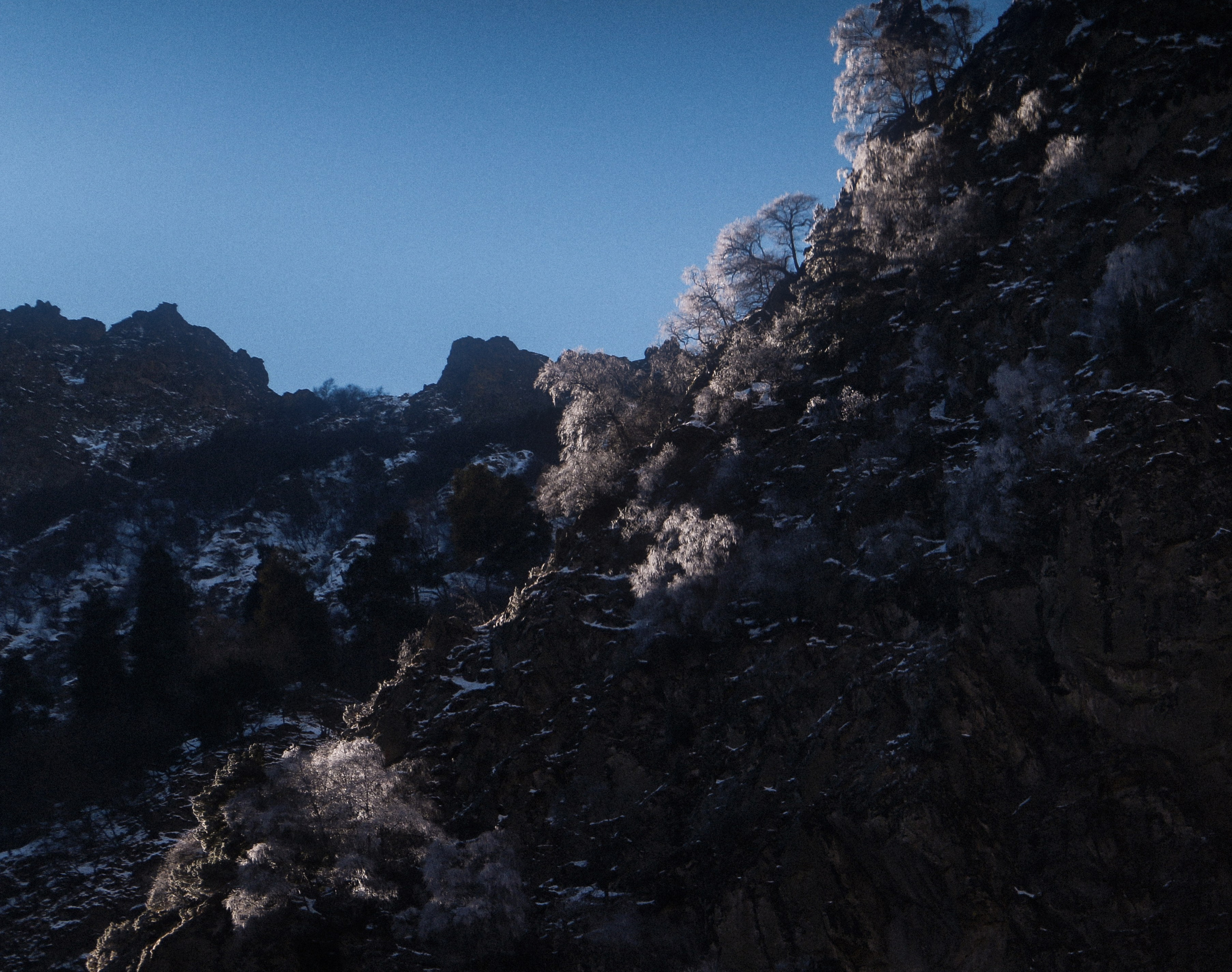 Работы вне серий — Сафонов Владислав. Сафонов Владислав, фотохудожник