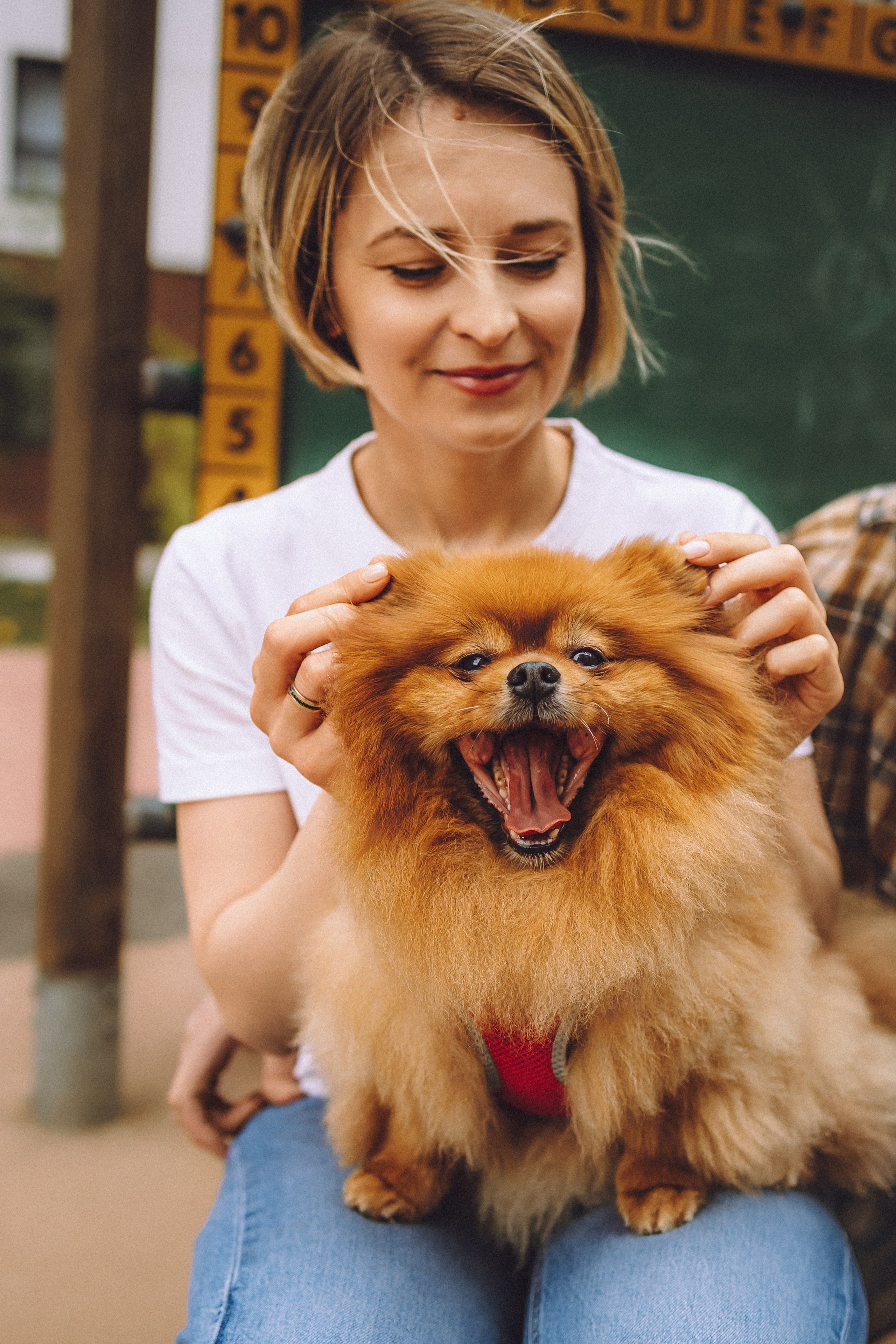 Лорик и его семья