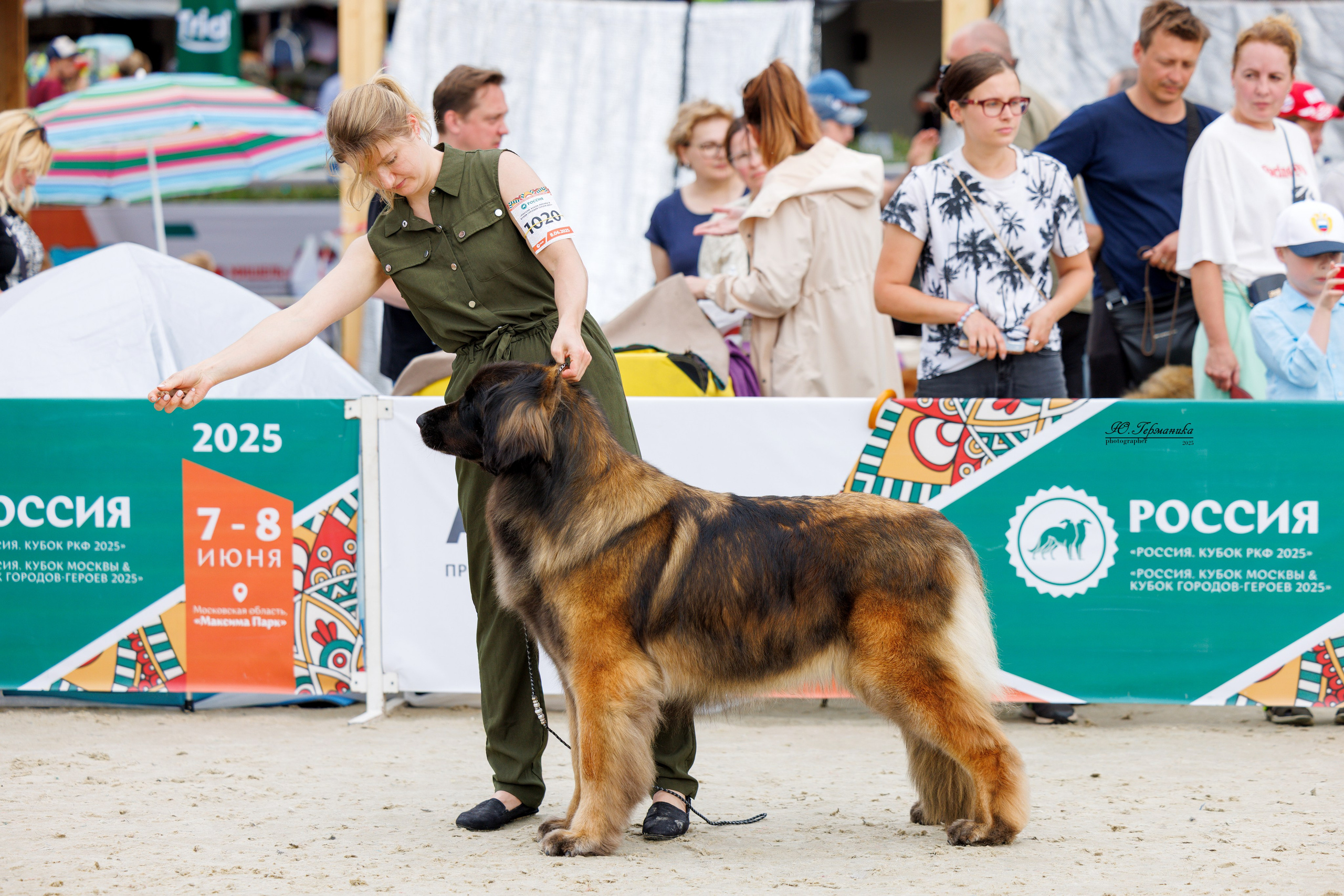РОССИЯ 7-8.06.2025. Фотограф-анималист Юлия Германика