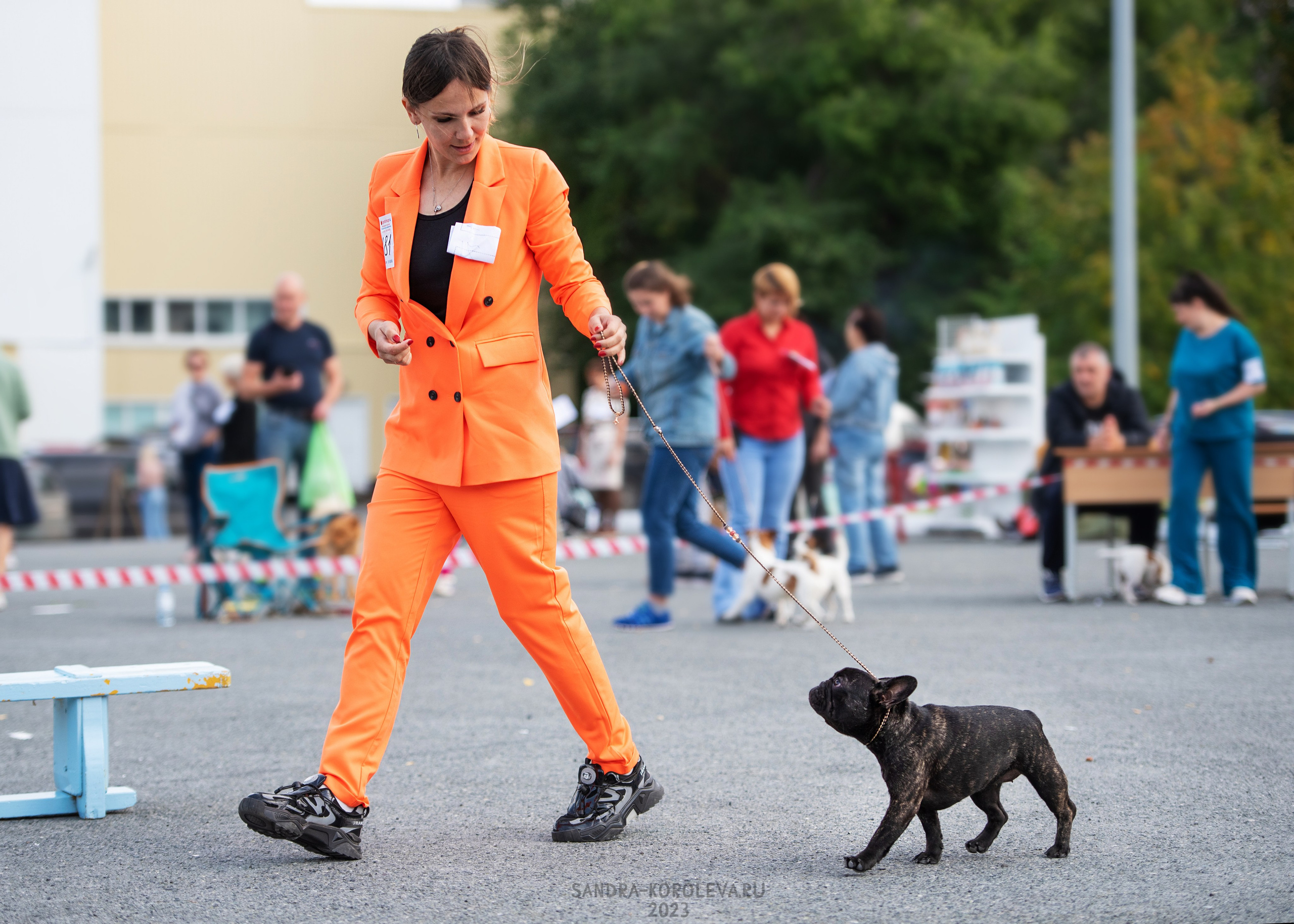 Выставка собак Тюмень 02.09.2023. Дог-фотограф в Тюмени Александра Королева