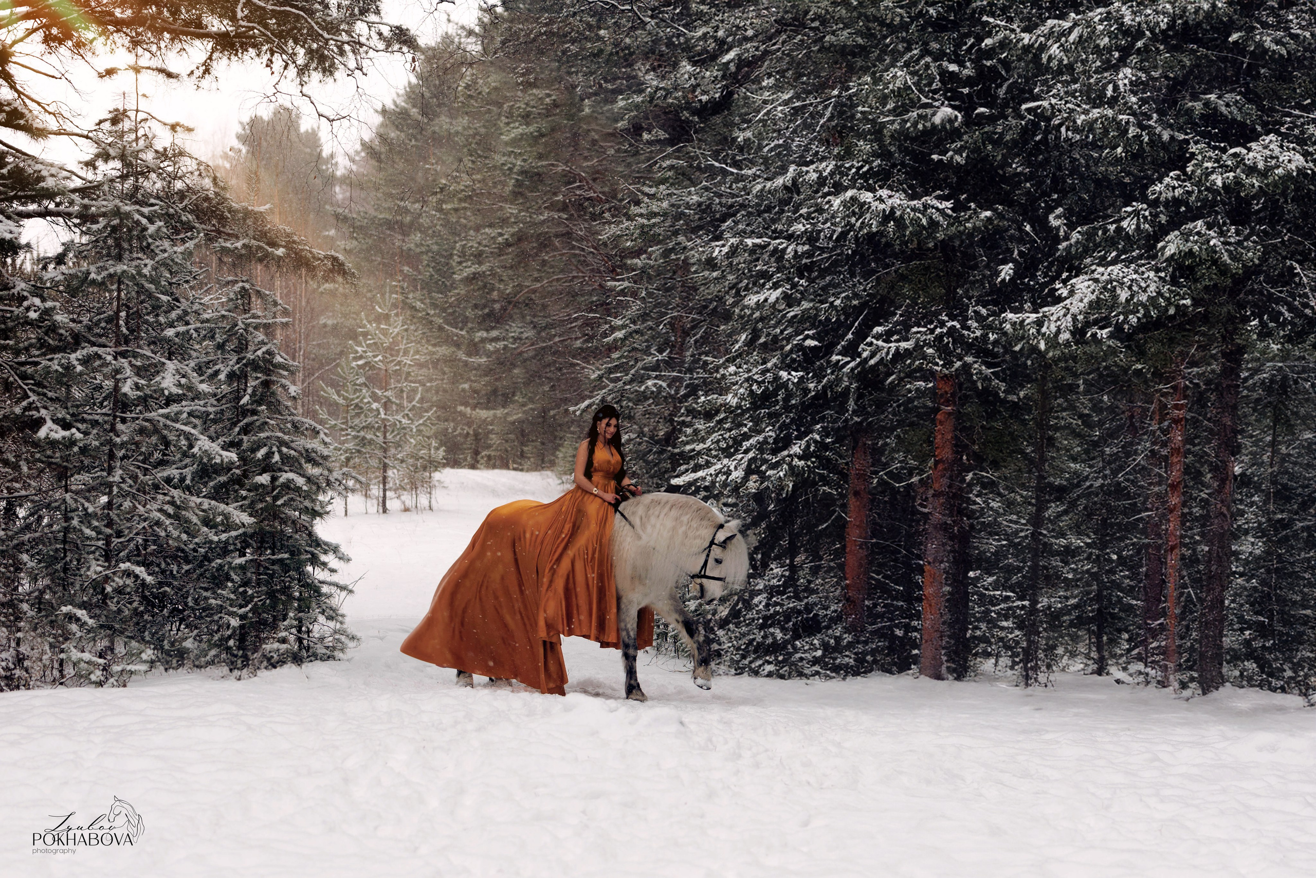 Феникс. Конный фотограф в Красноярске — Любовь Похабова