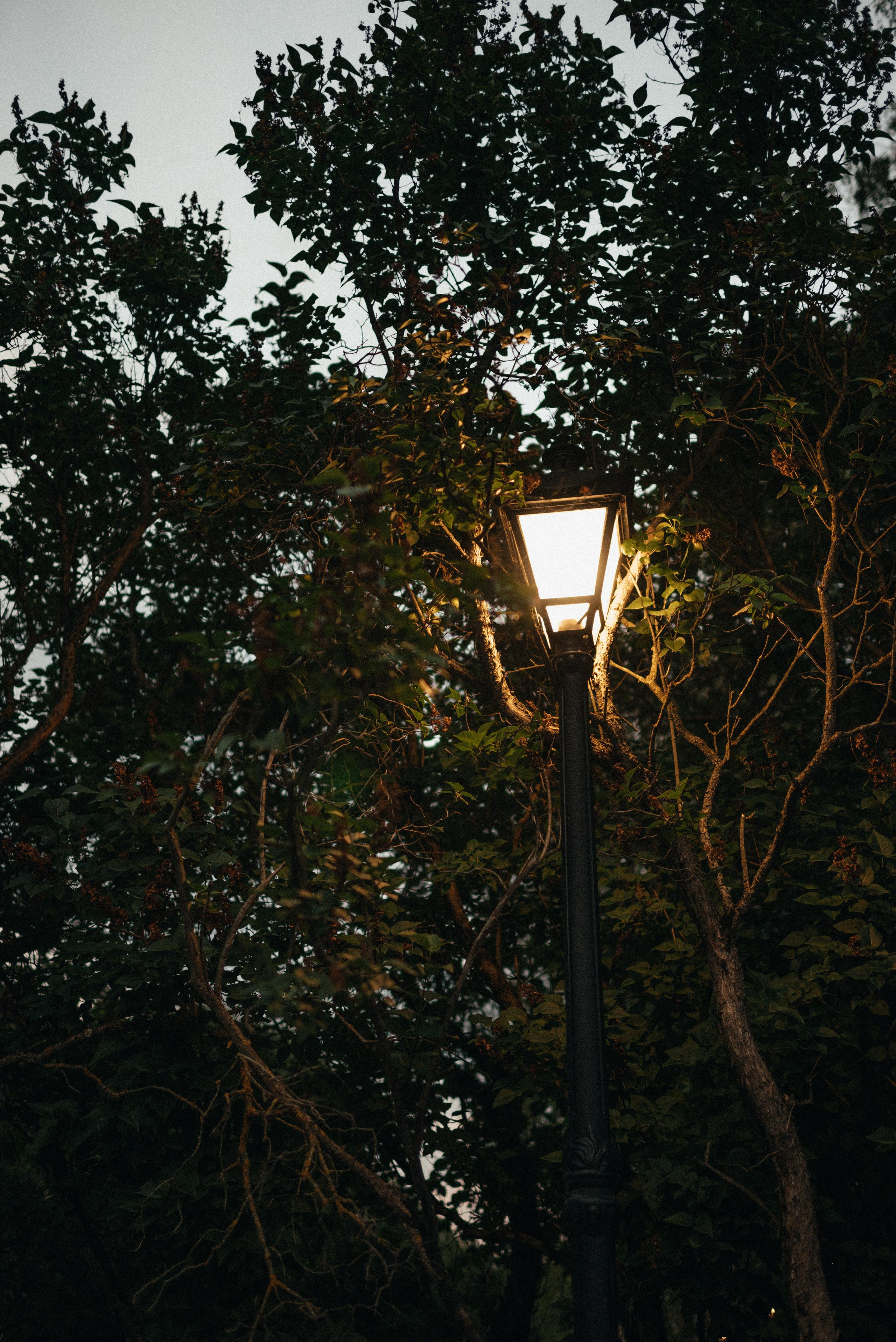 Съёмка «lovestory» привидений. Z H U R A V L E V