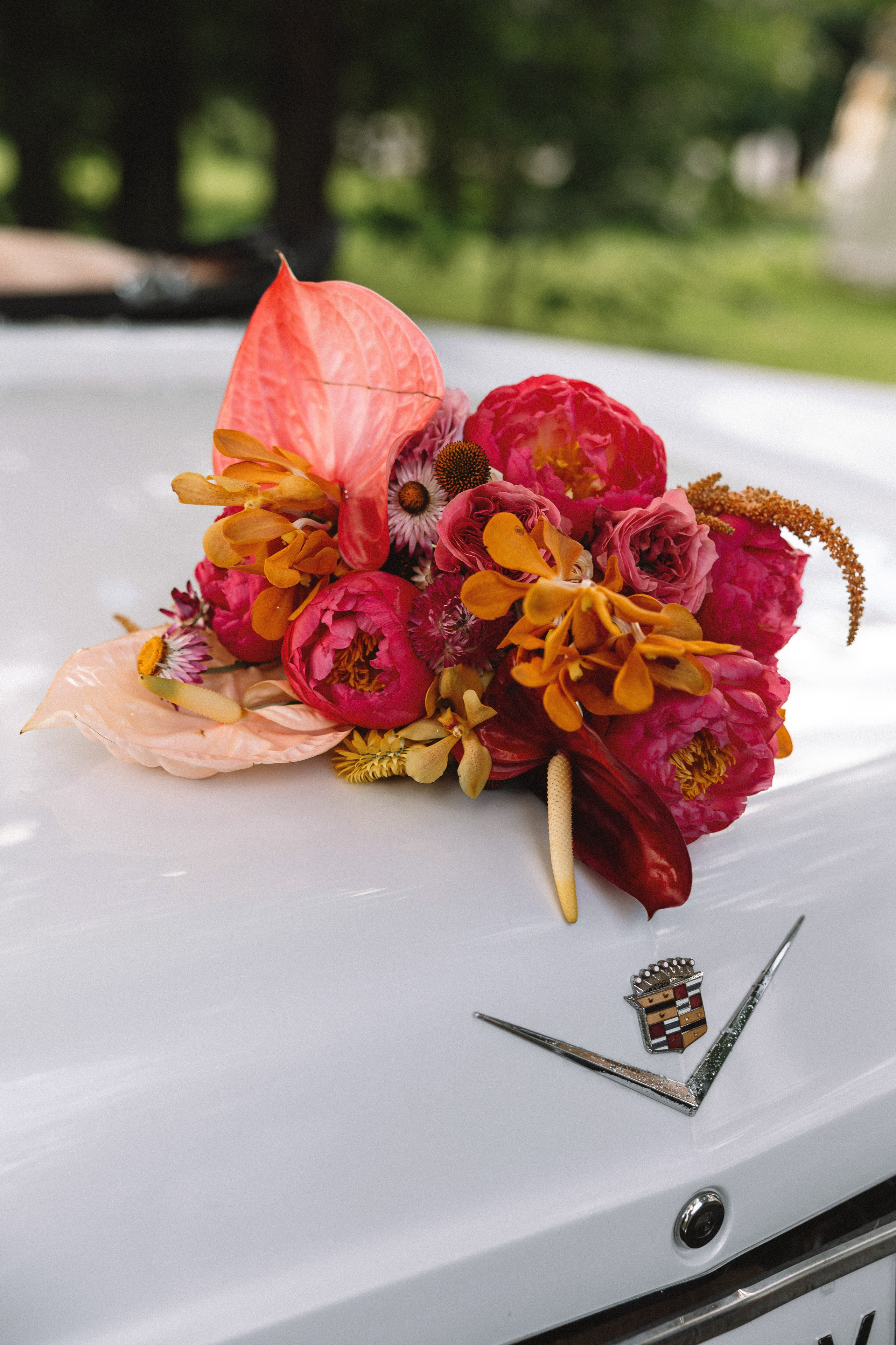 Виктория и Александр. Lifestyle фотограф в Санкт-Петербурге Анна Щекалева