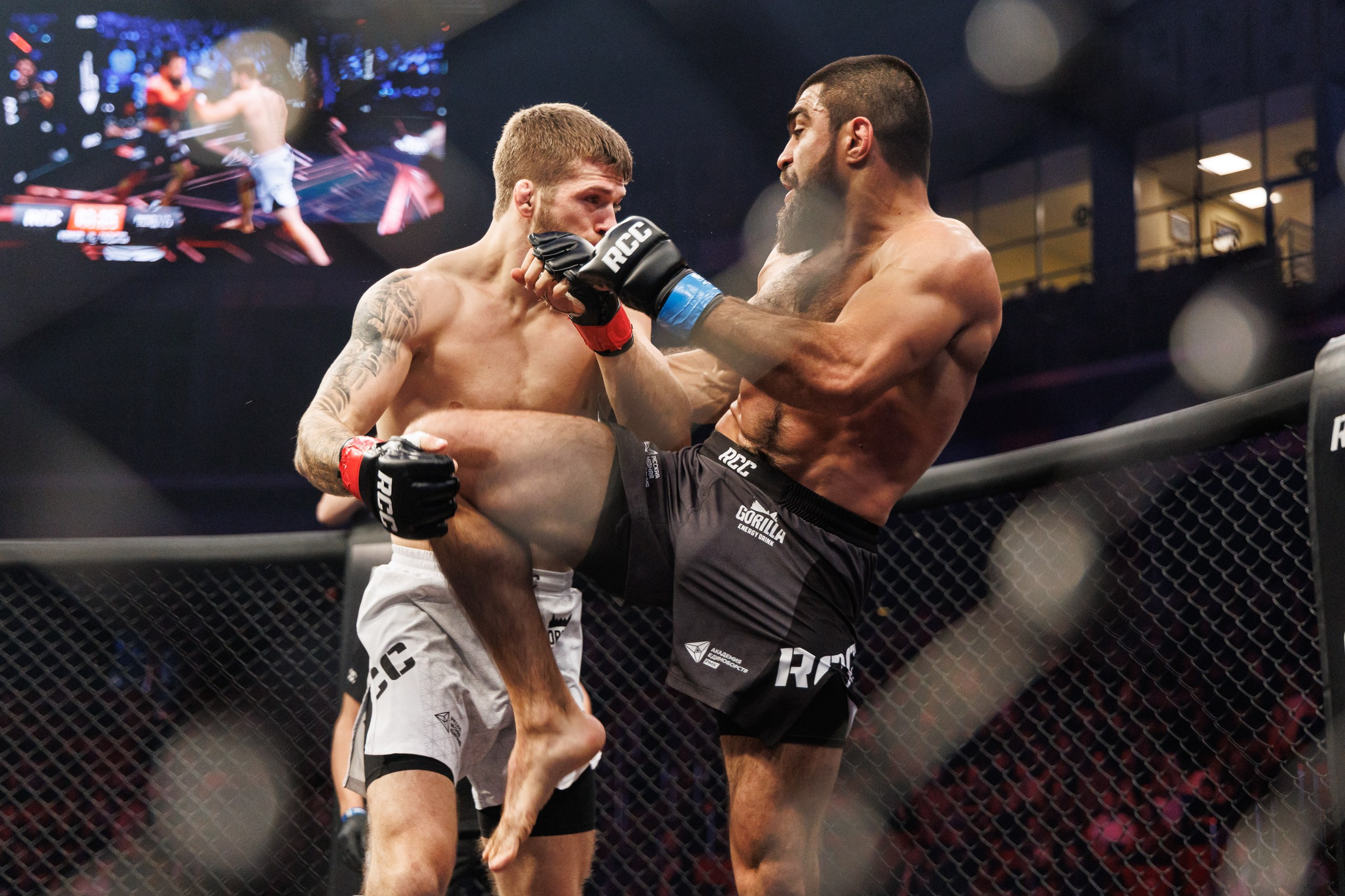 Кубок RCC MMA | Белаз-Шторм. 2025