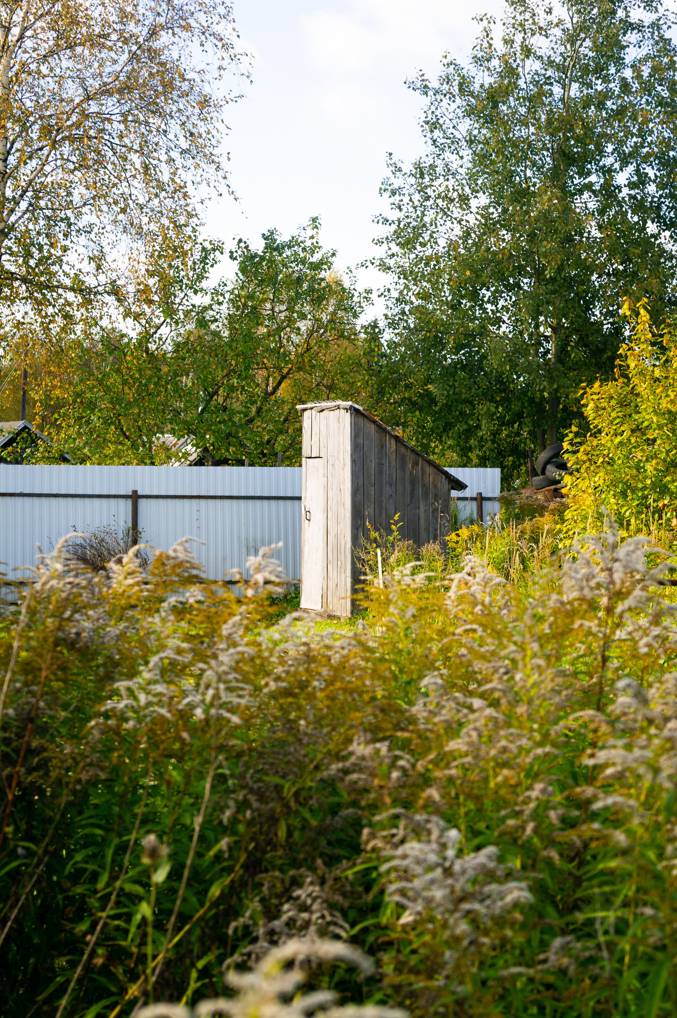 Сентябрь 2025. Den Mirov — Фотограф, Музыкант