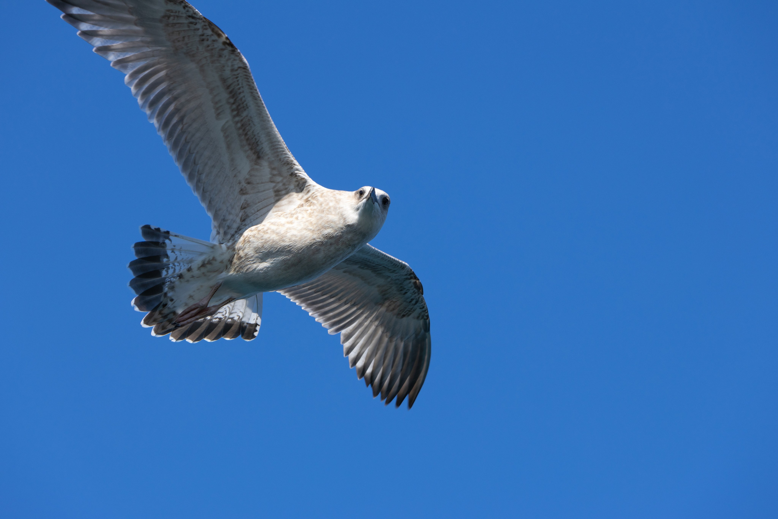 Ольхон. Jean De Vivre Gallery