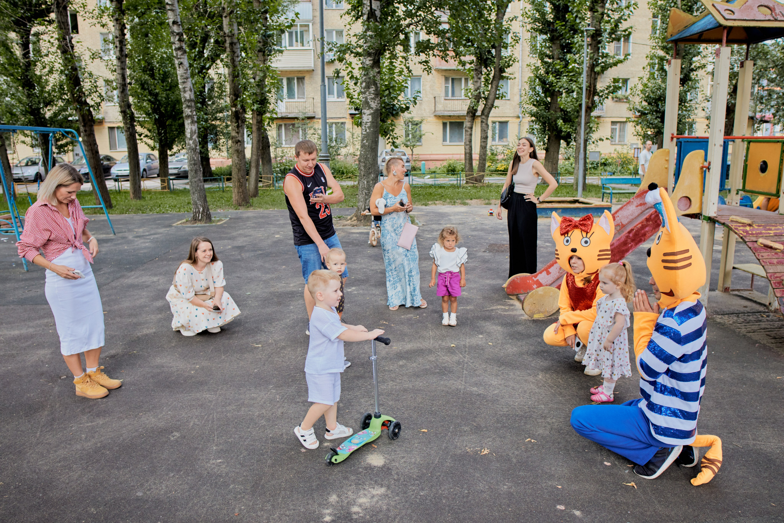 Три кота. Фотограф Москва