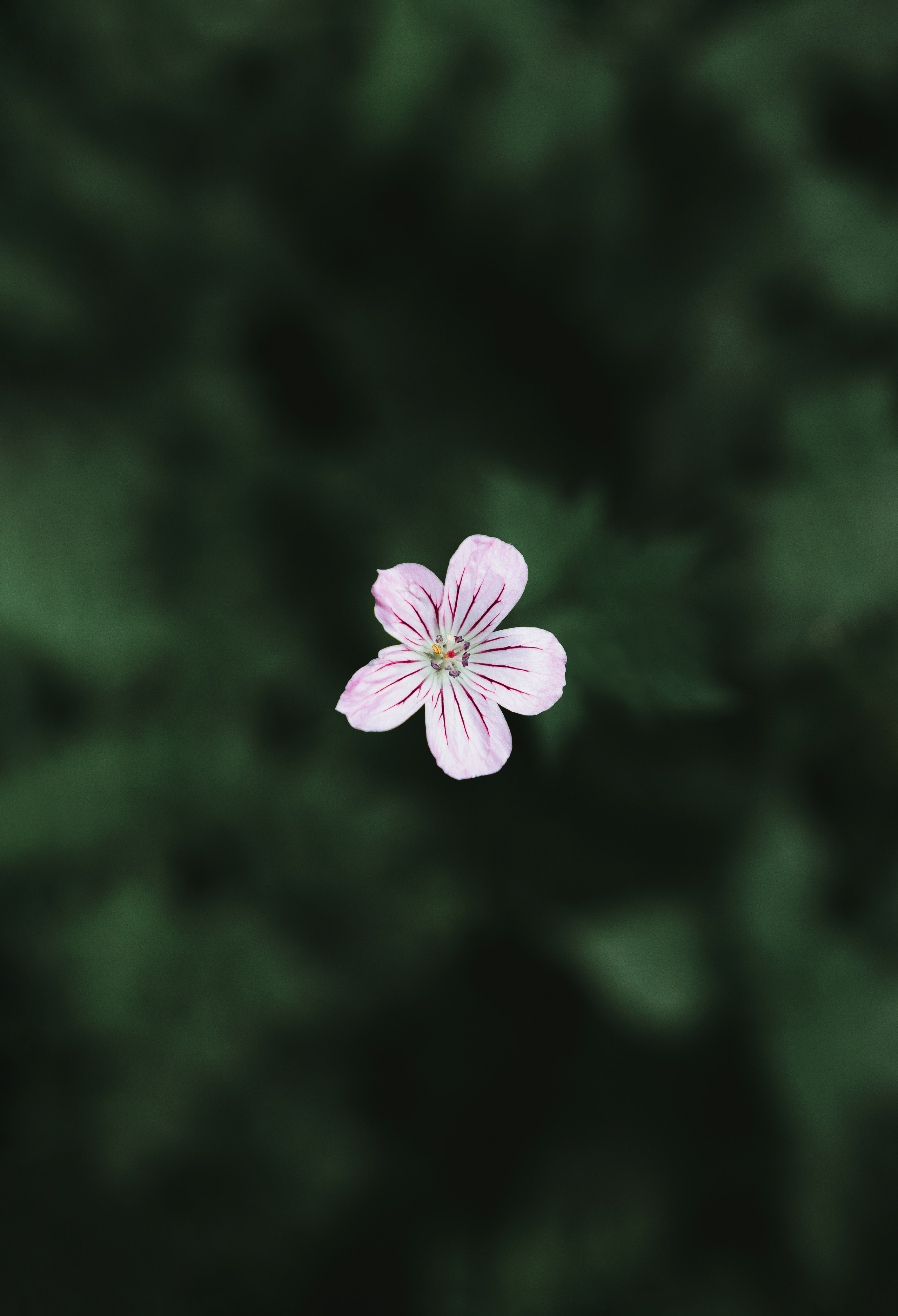 Жизнь. Фотограф Алматы | Весь мир — Никита Колодин