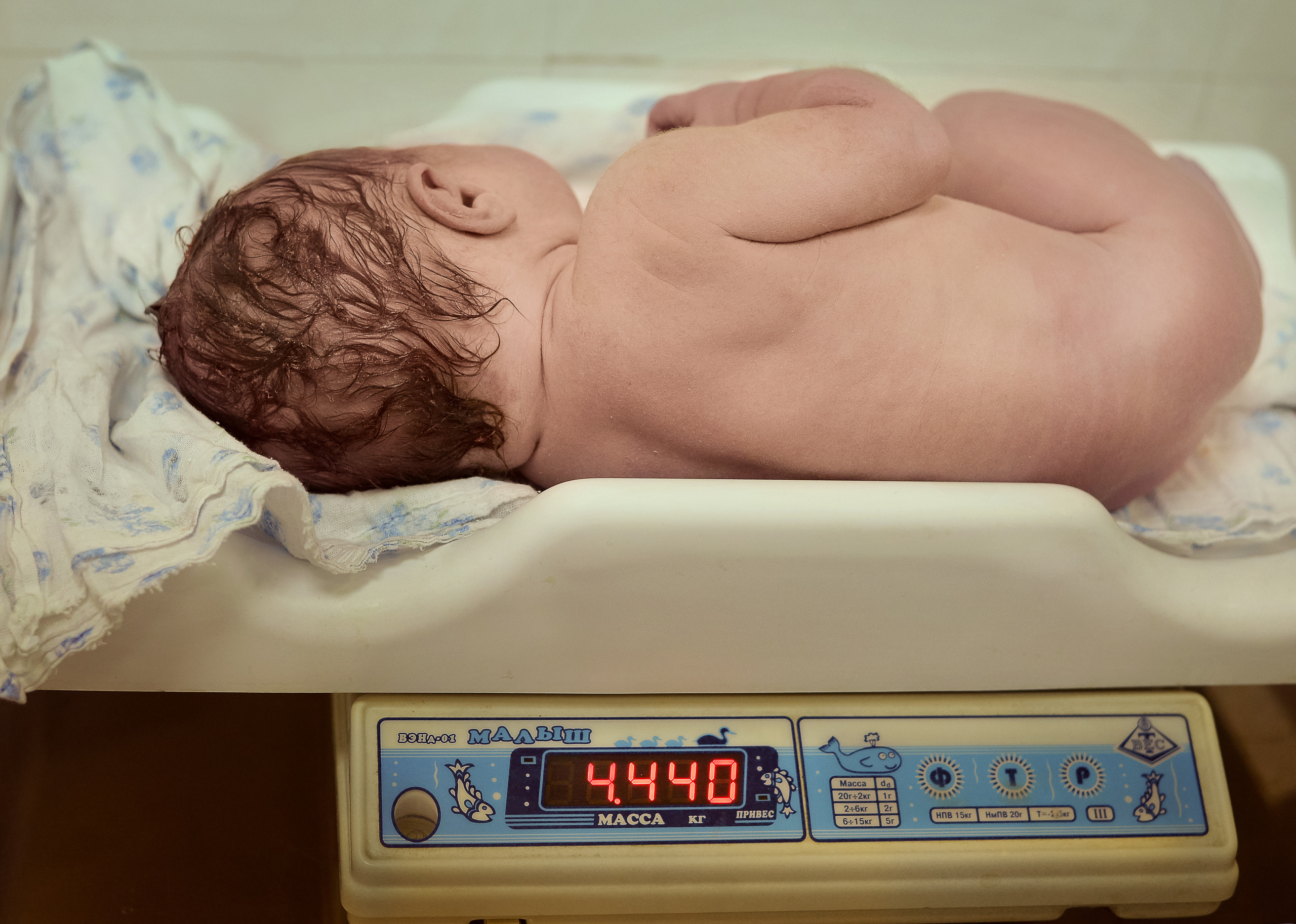 Рождение Савелия. Свадебный и семейный фотограф в Москве Лариса Нечитайло