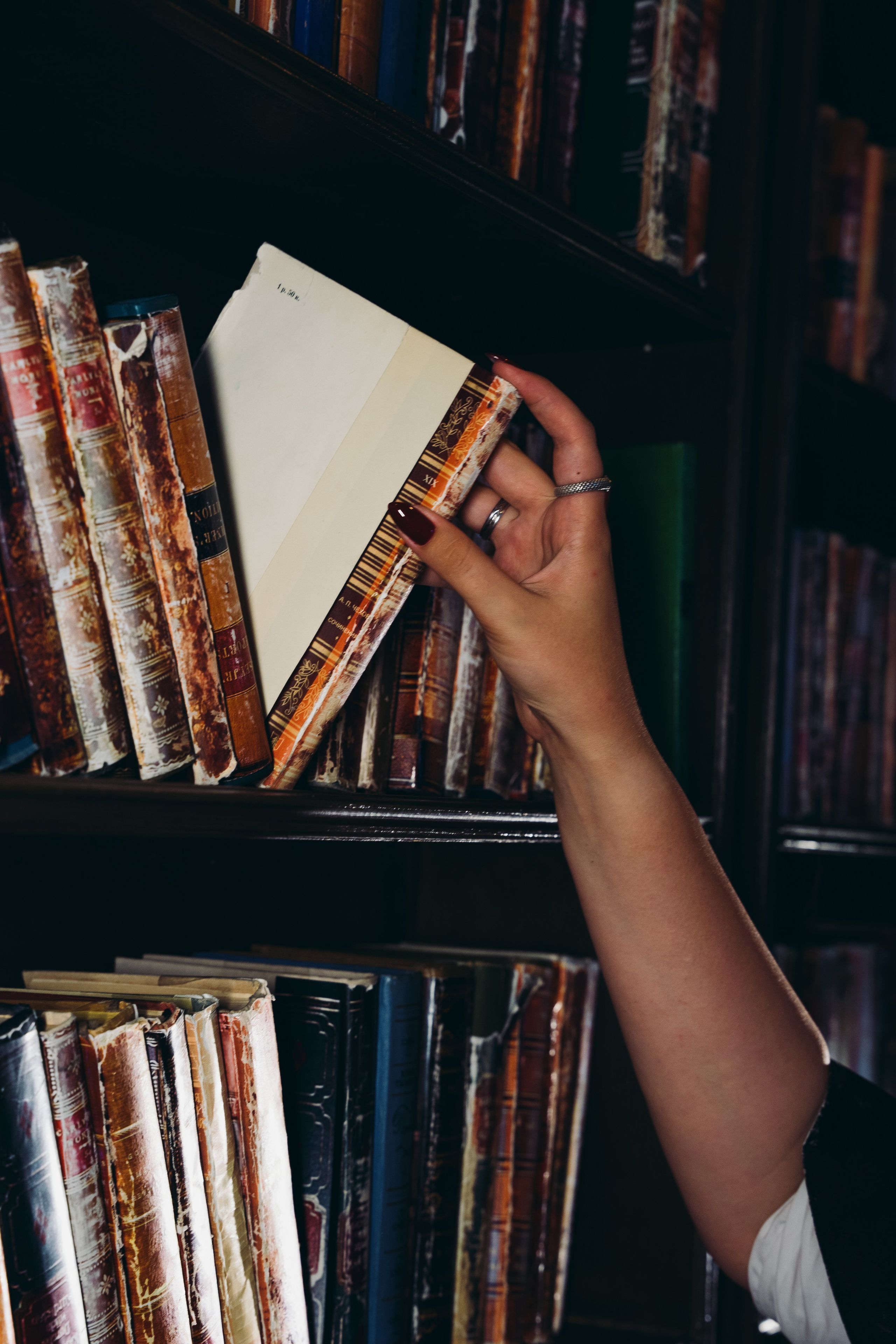 Василиса. Фотограф в Москве