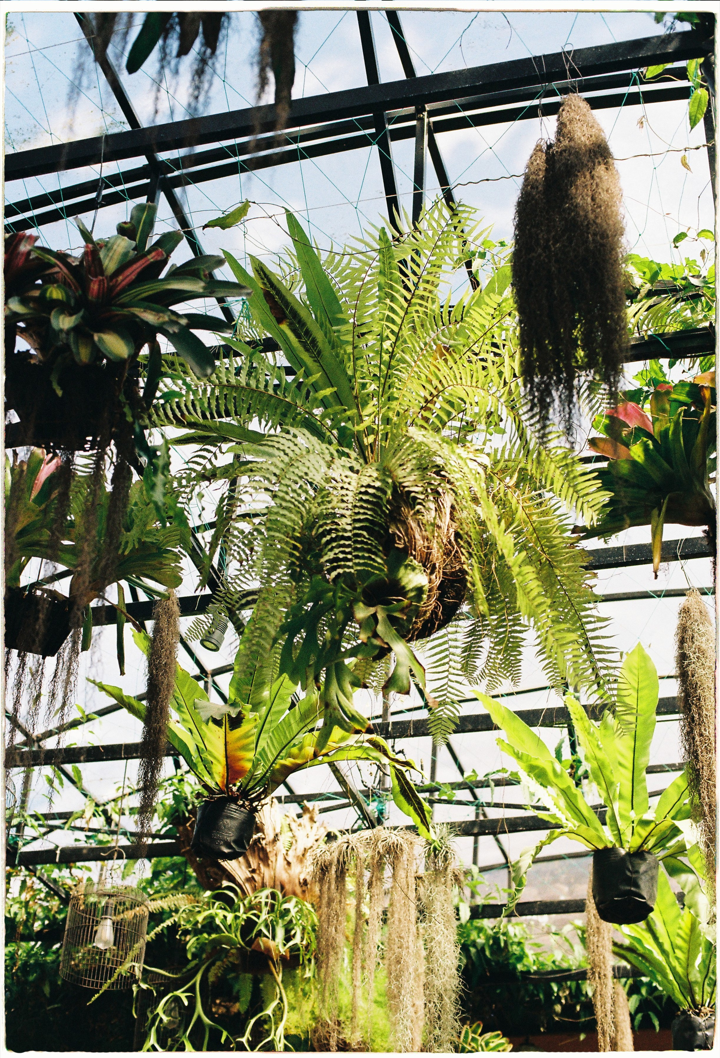 Hoi An. Film Photographer in Da Nang, Vietnam — Tanya Parfenteva