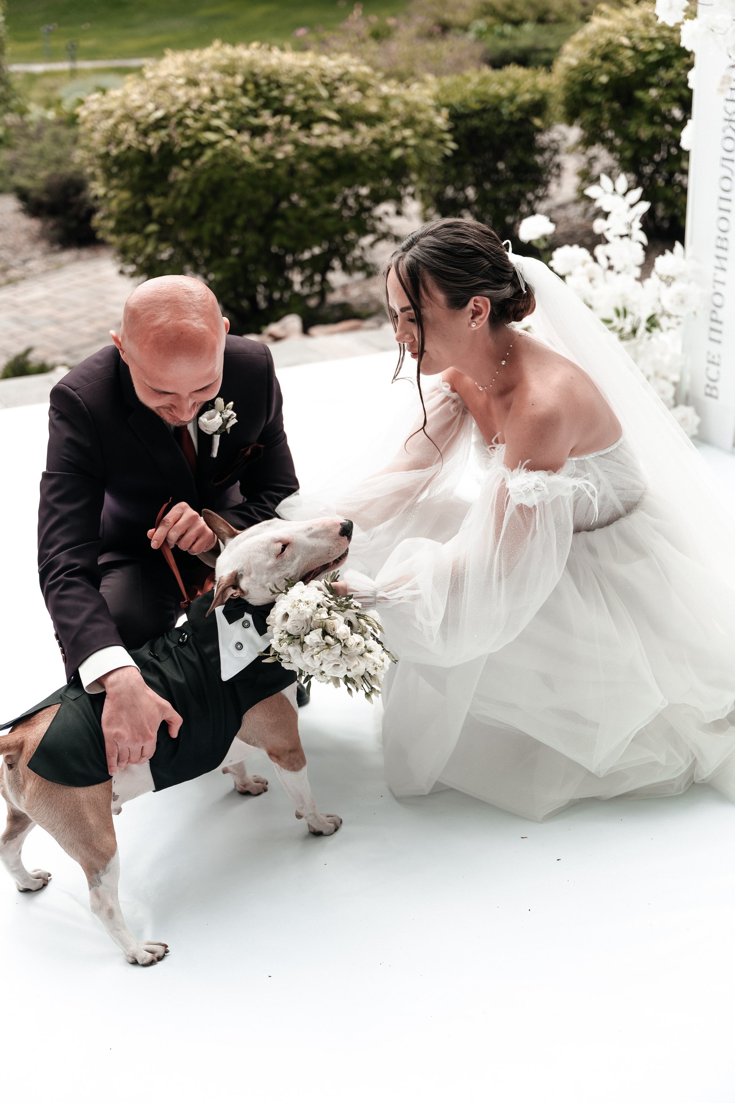 Андрей и Алина. Фотограф Екатерина Бочарникова