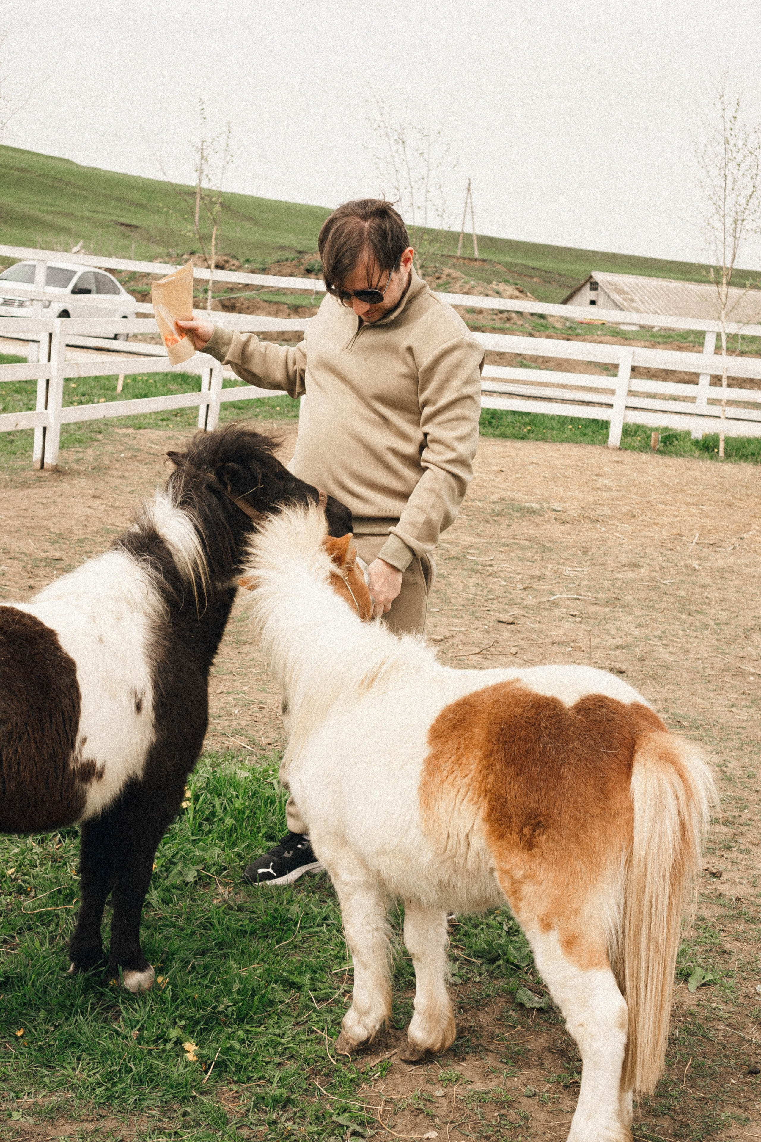 Ферма Альпак. Профессиональный фотограф, Санкт-Петербург — Виктория Богомолова