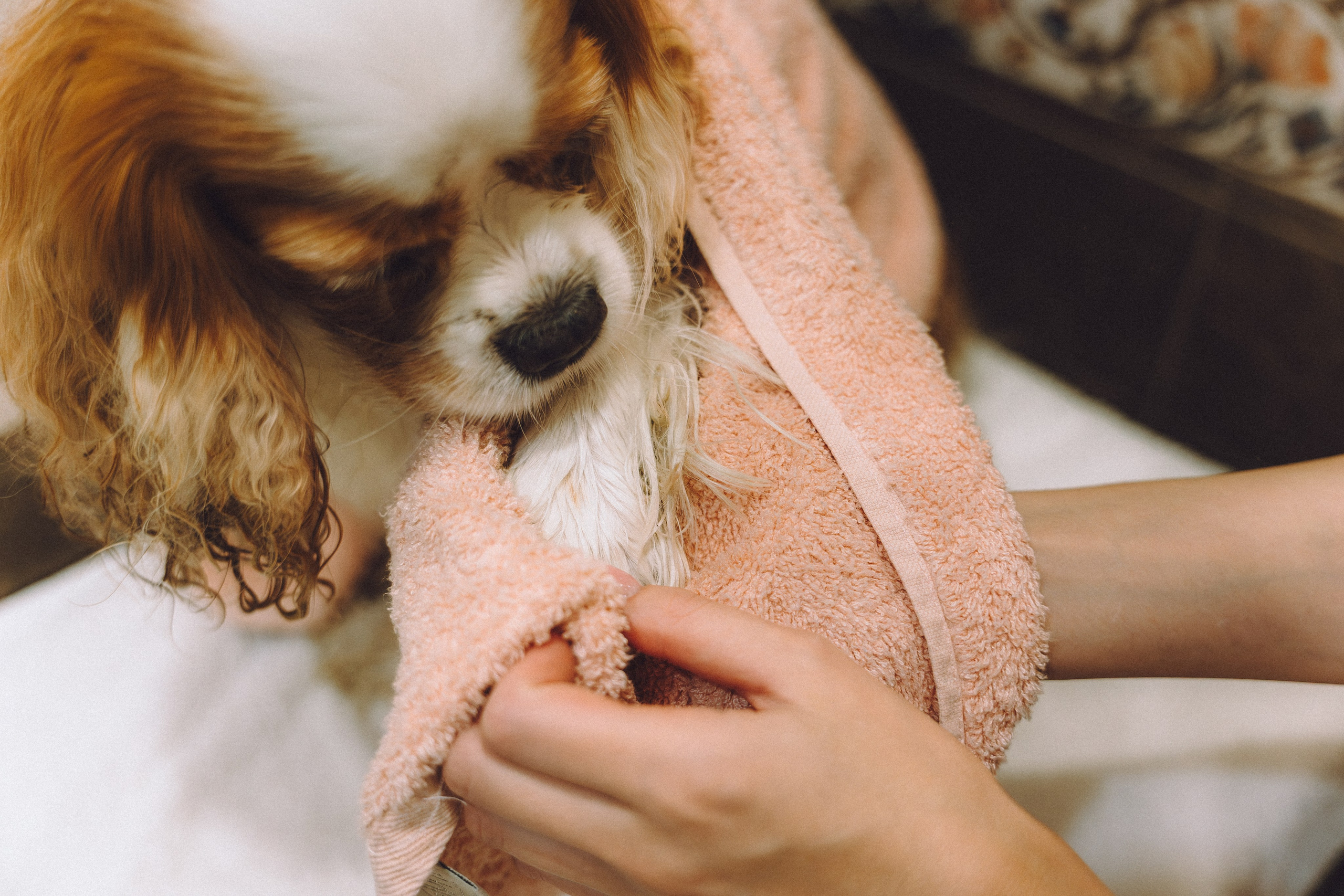 Наташа и Вики