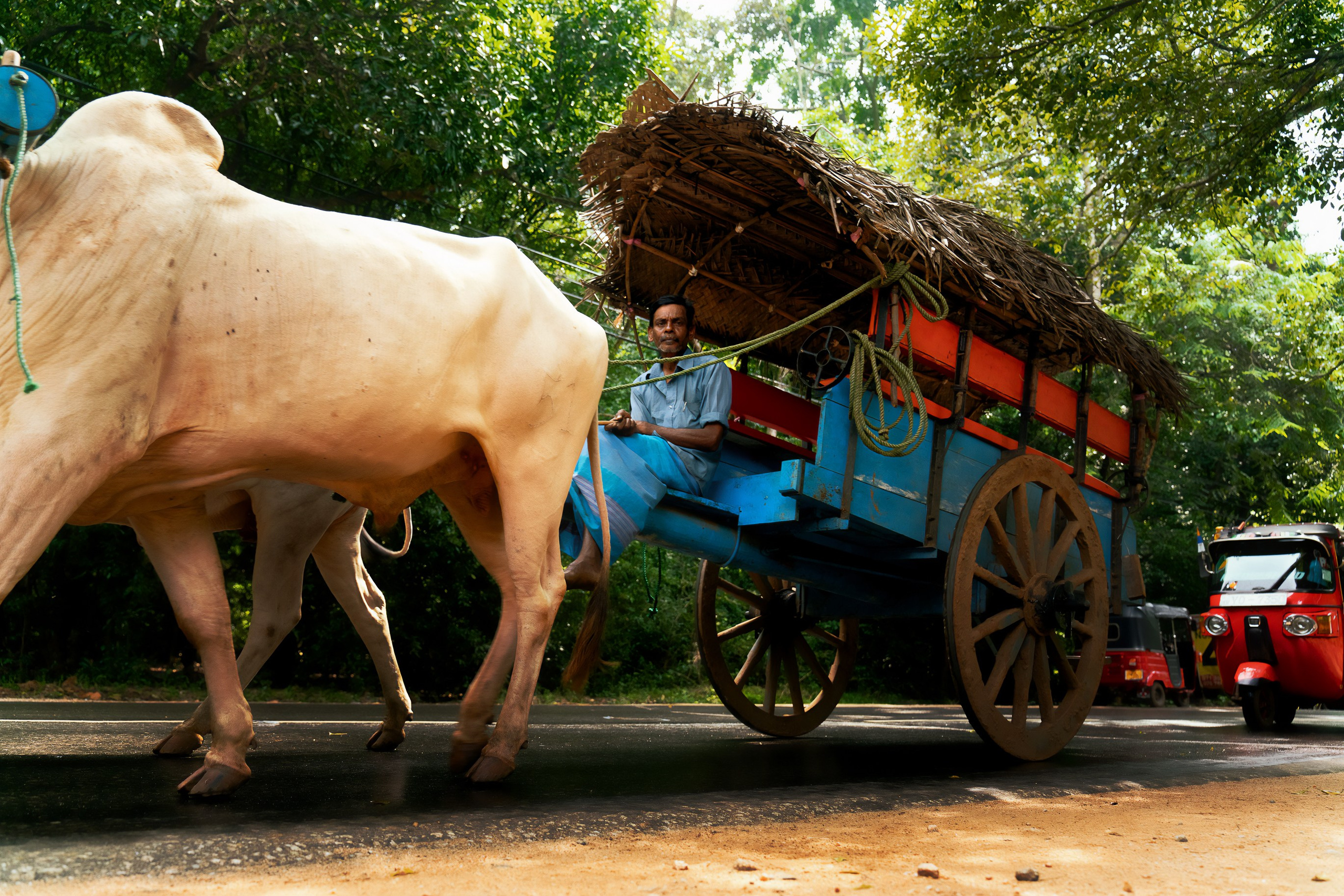 Ktokuda. Фотограф в Хабаровске. Фотография за 24 часа