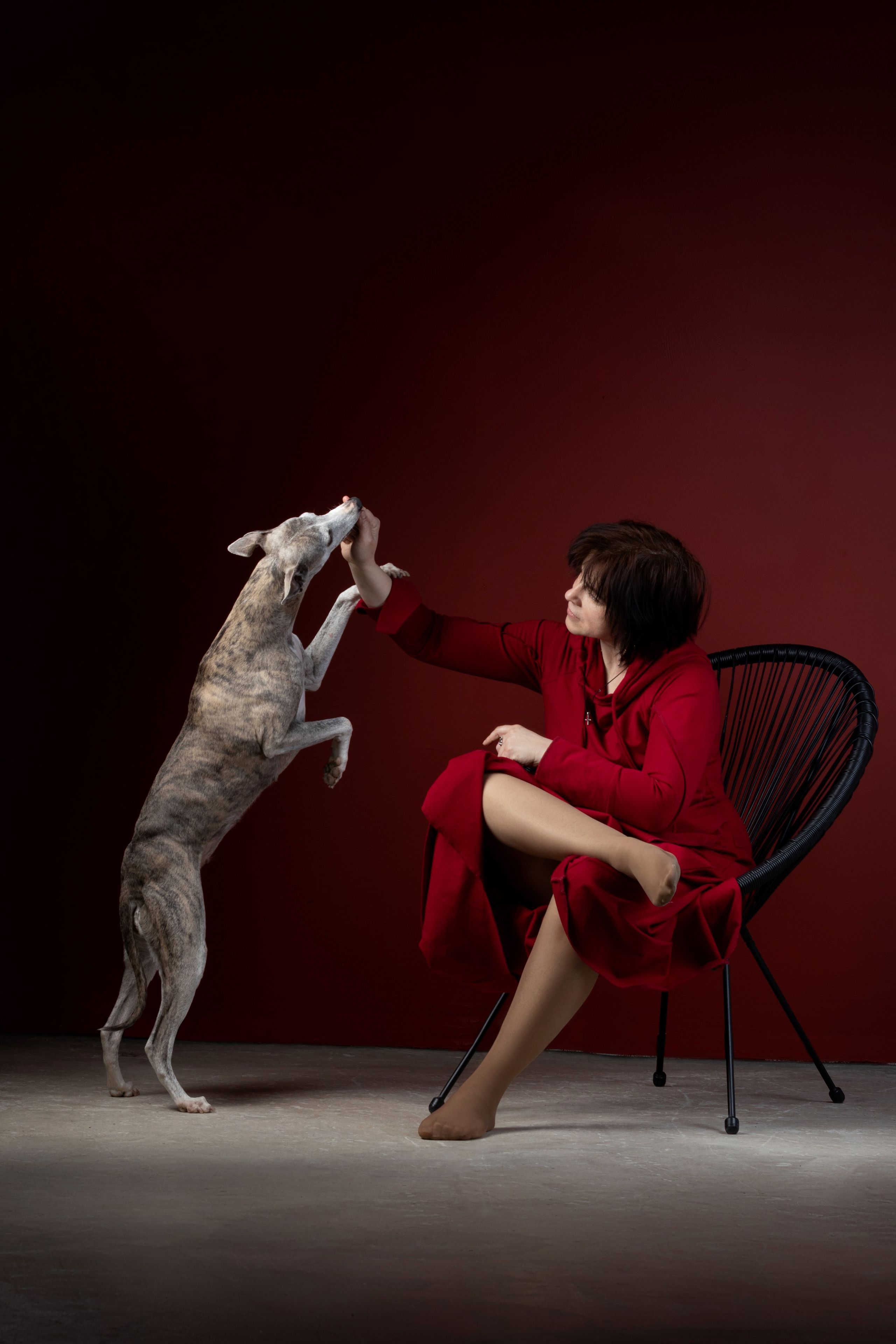 Студийная съемка. Фотограф — анималист в Москве и области Ольга Петракова