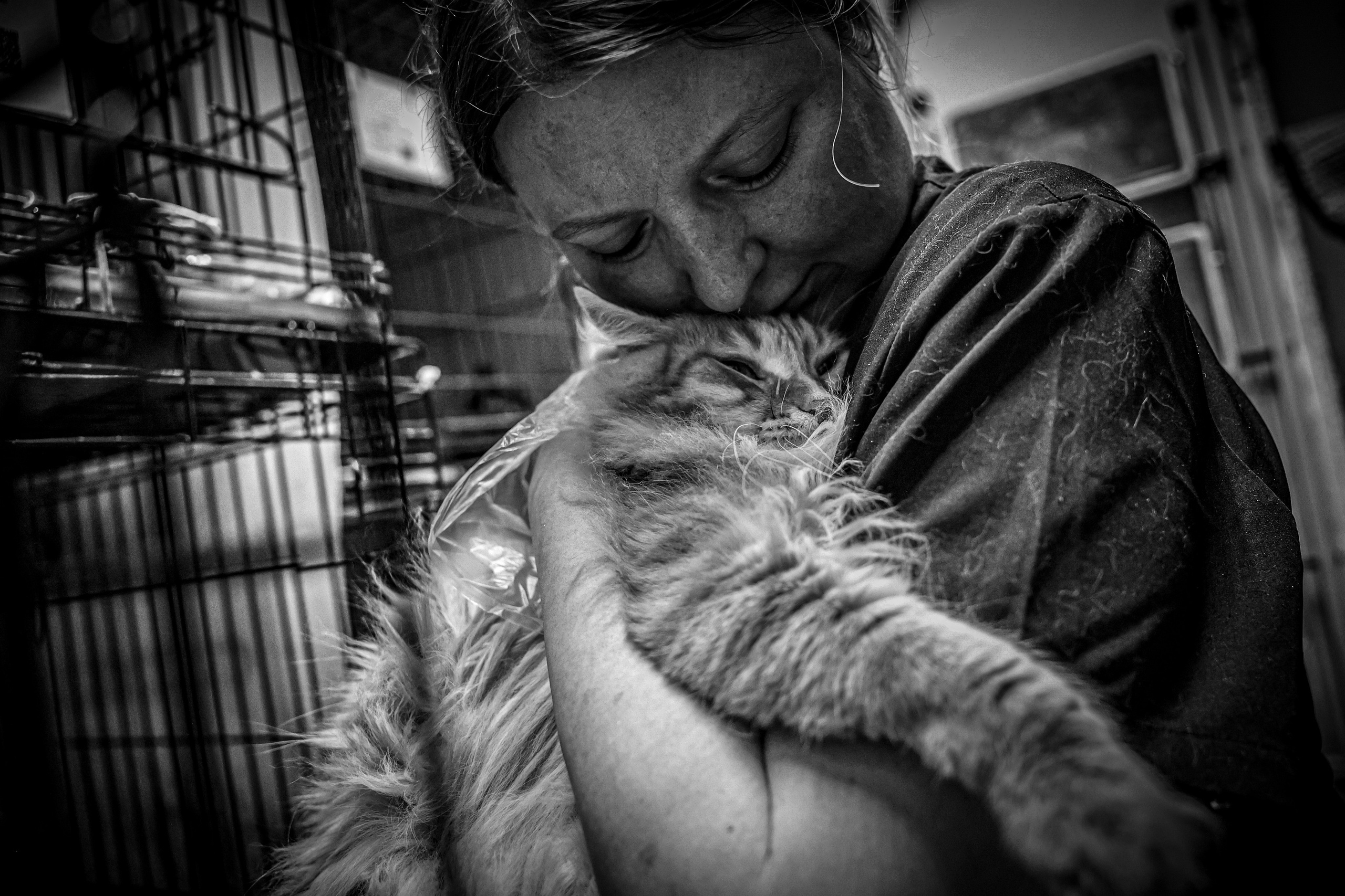 МУР КОША. Ekaterina Ageeva