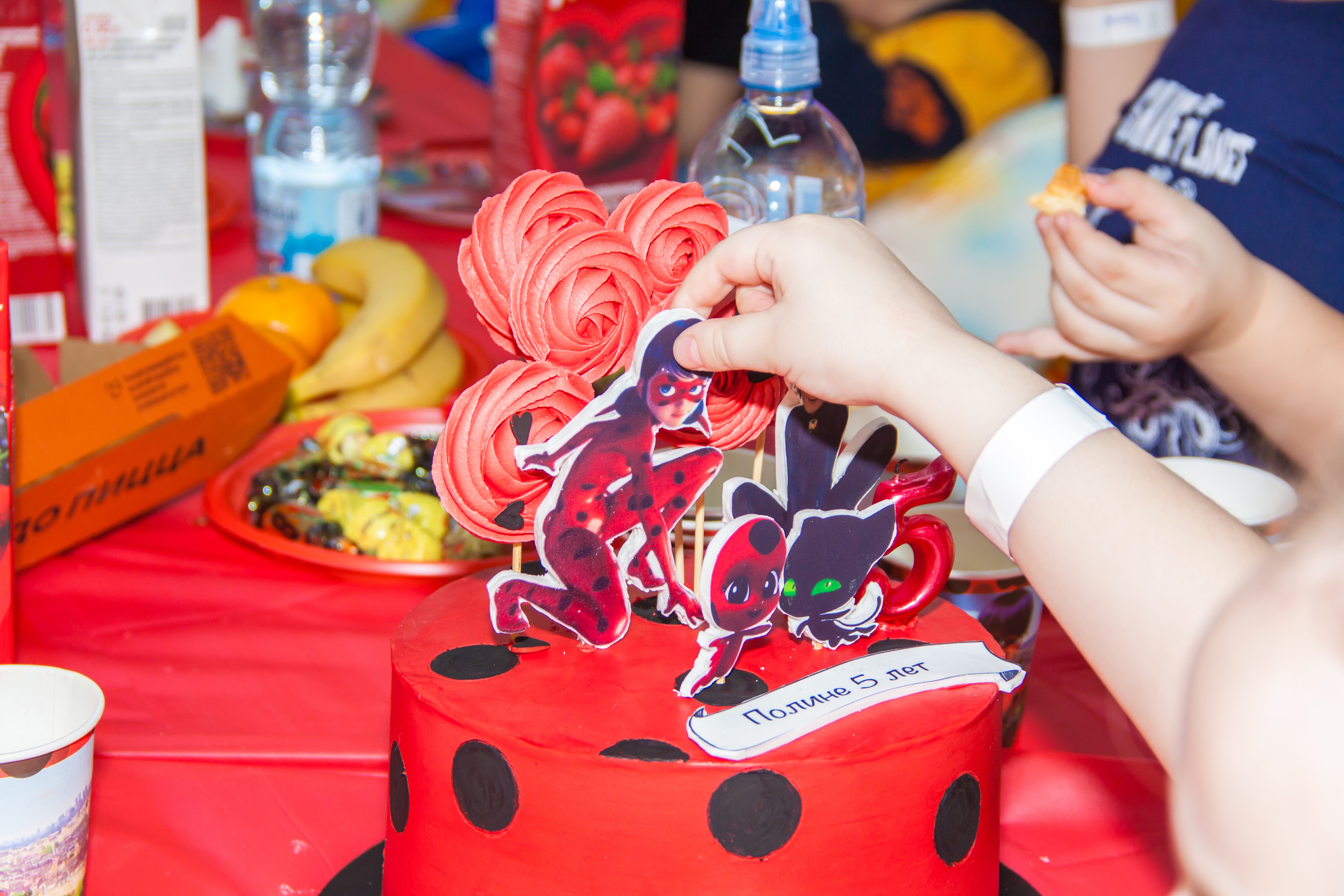 Репортажи Детских праздников. Фотограф Алина Лебедь