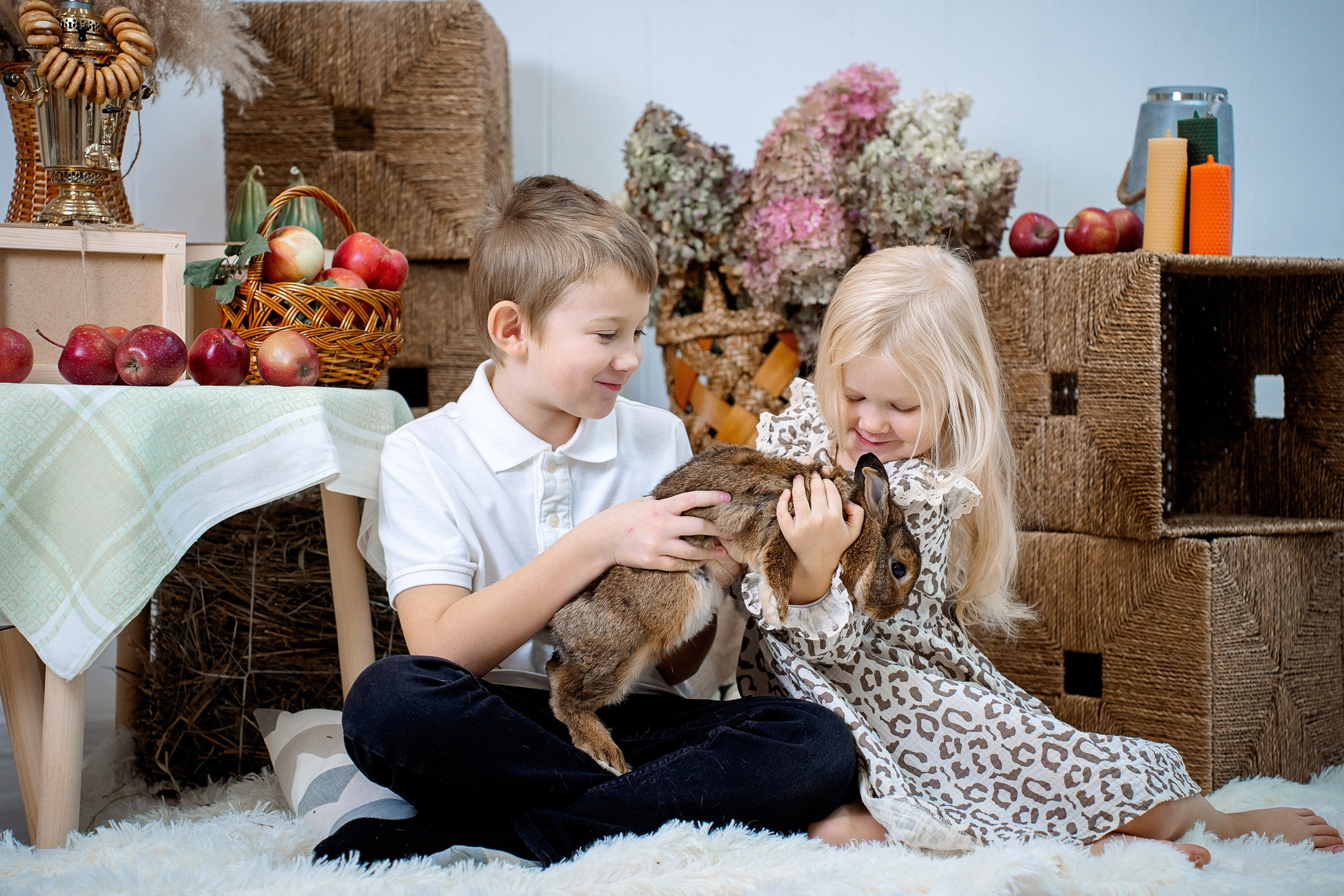 Кролик. Фотограф Казакова Анастасия