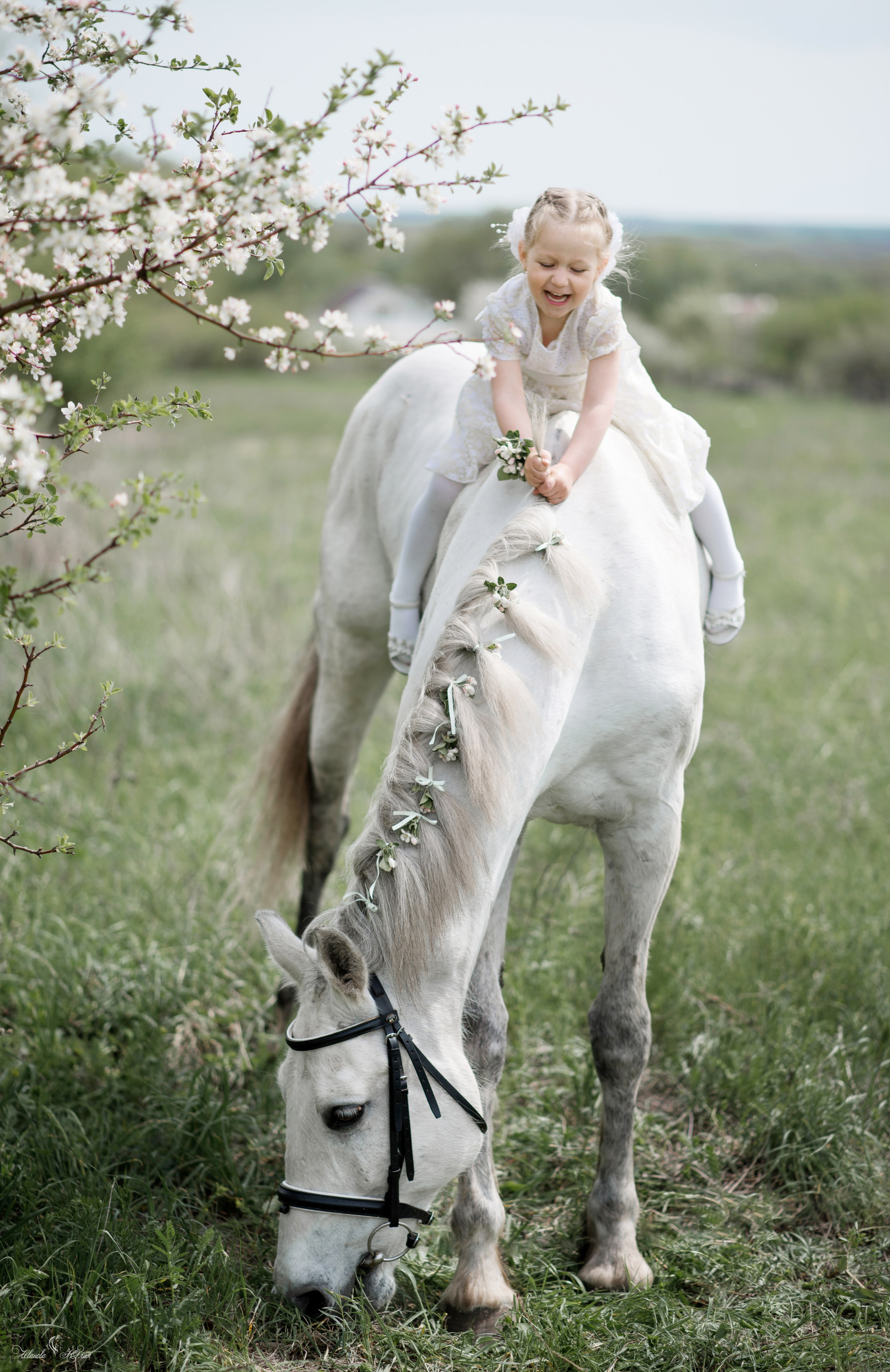 Мирослава и Гипноз. Конный фотограф в Саратове Юлия Иванова