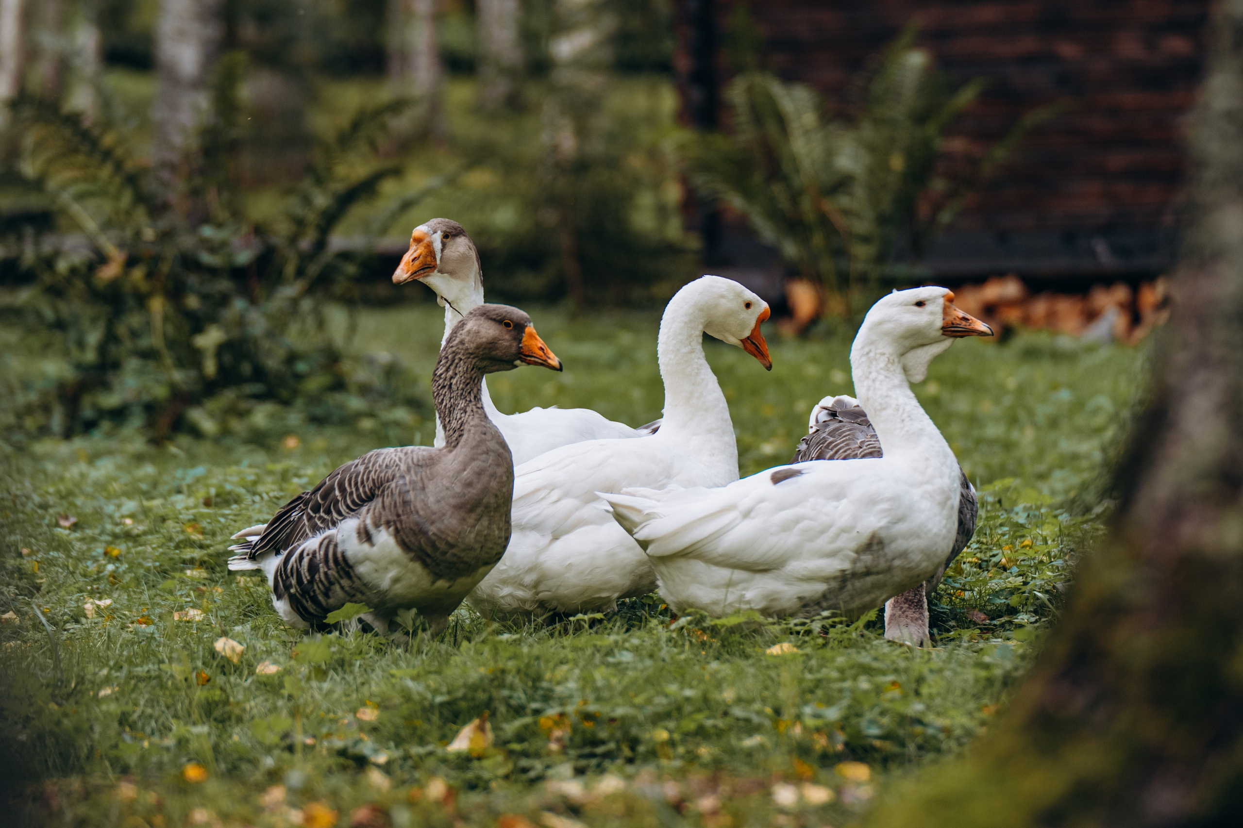 СЕВЕР. Event фотограф Степанова Александра
