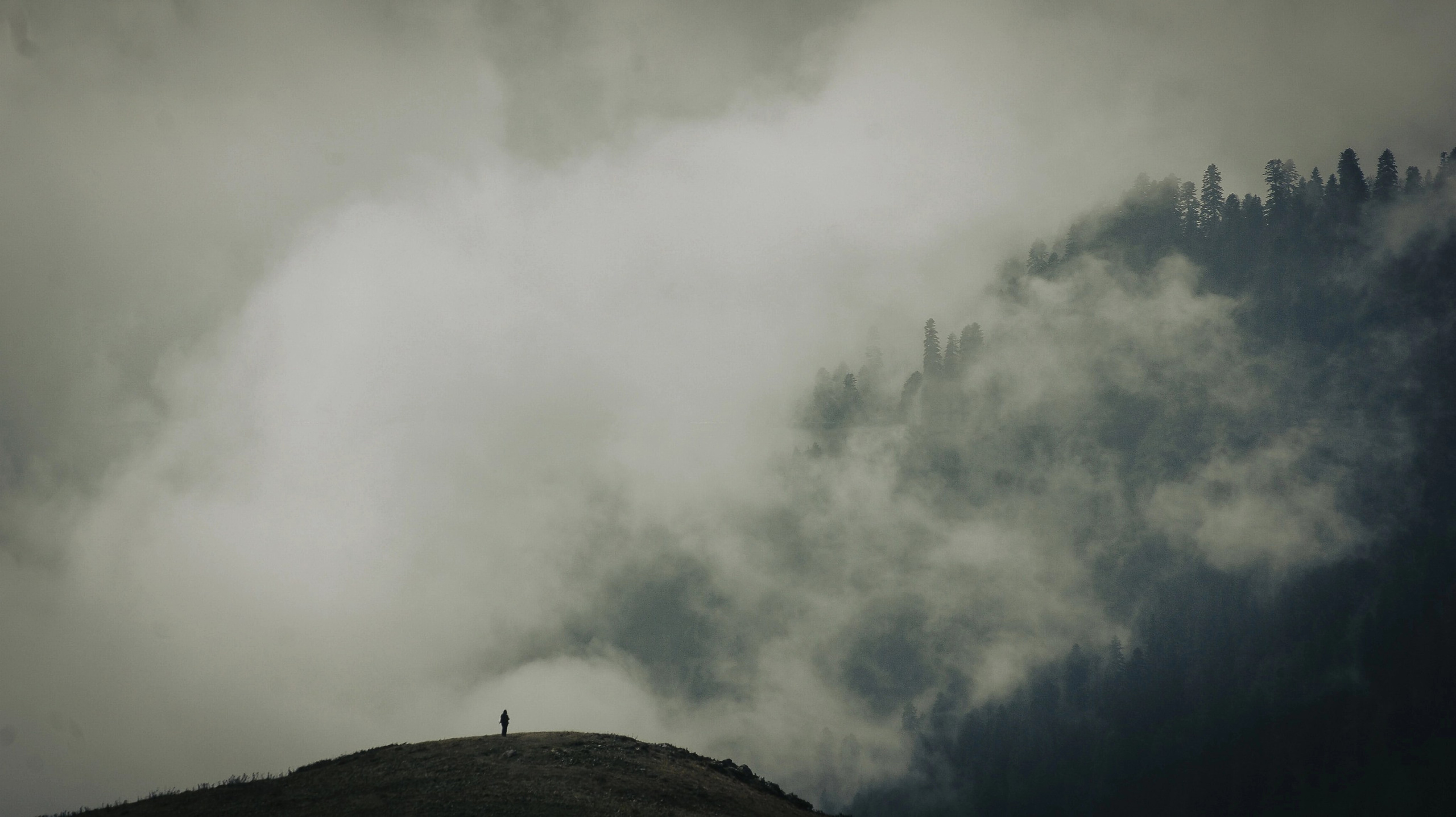 Фотовыставка в Сочи — Ноябрь 2025. Povarov