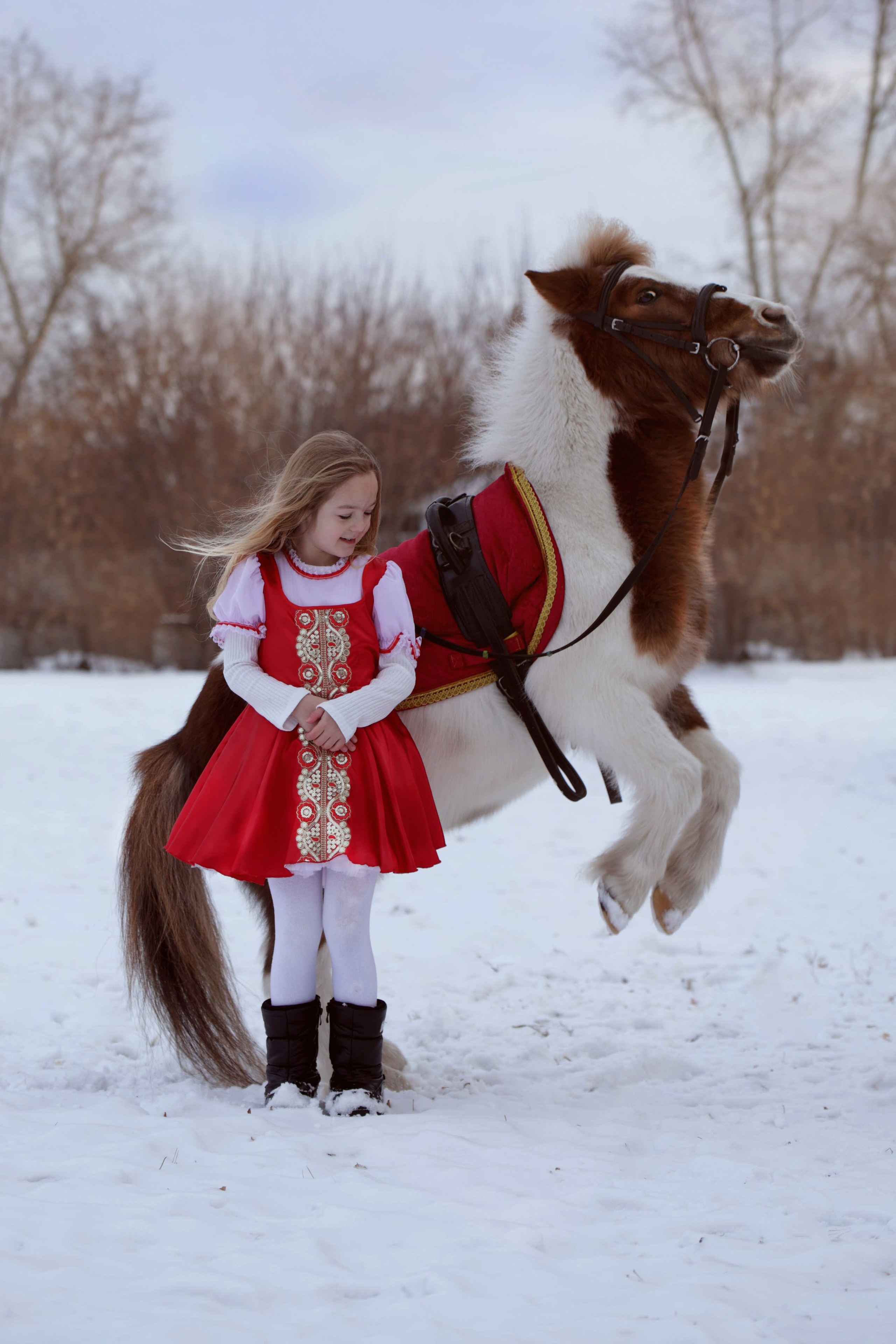 КрылатыйПони. Конный фотограф в Красноярске — Любовь Похабова