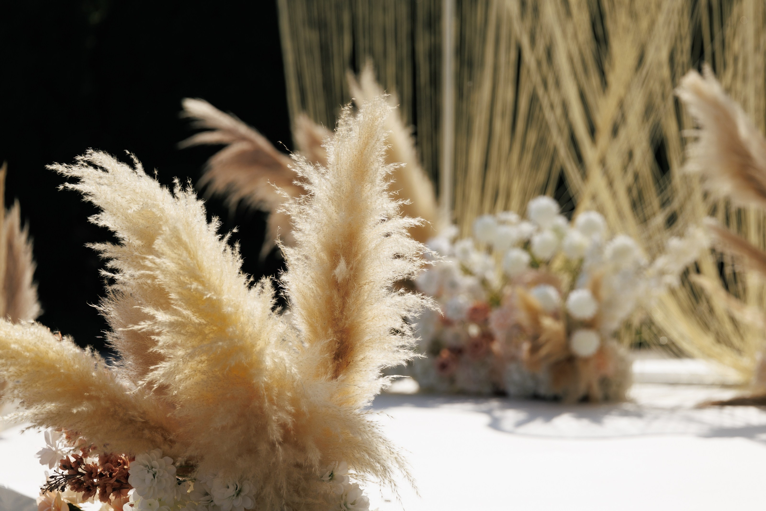 Марк и Елизавета. Свадебный фотограф в Ростове — на — Дону Александра Пивоварова