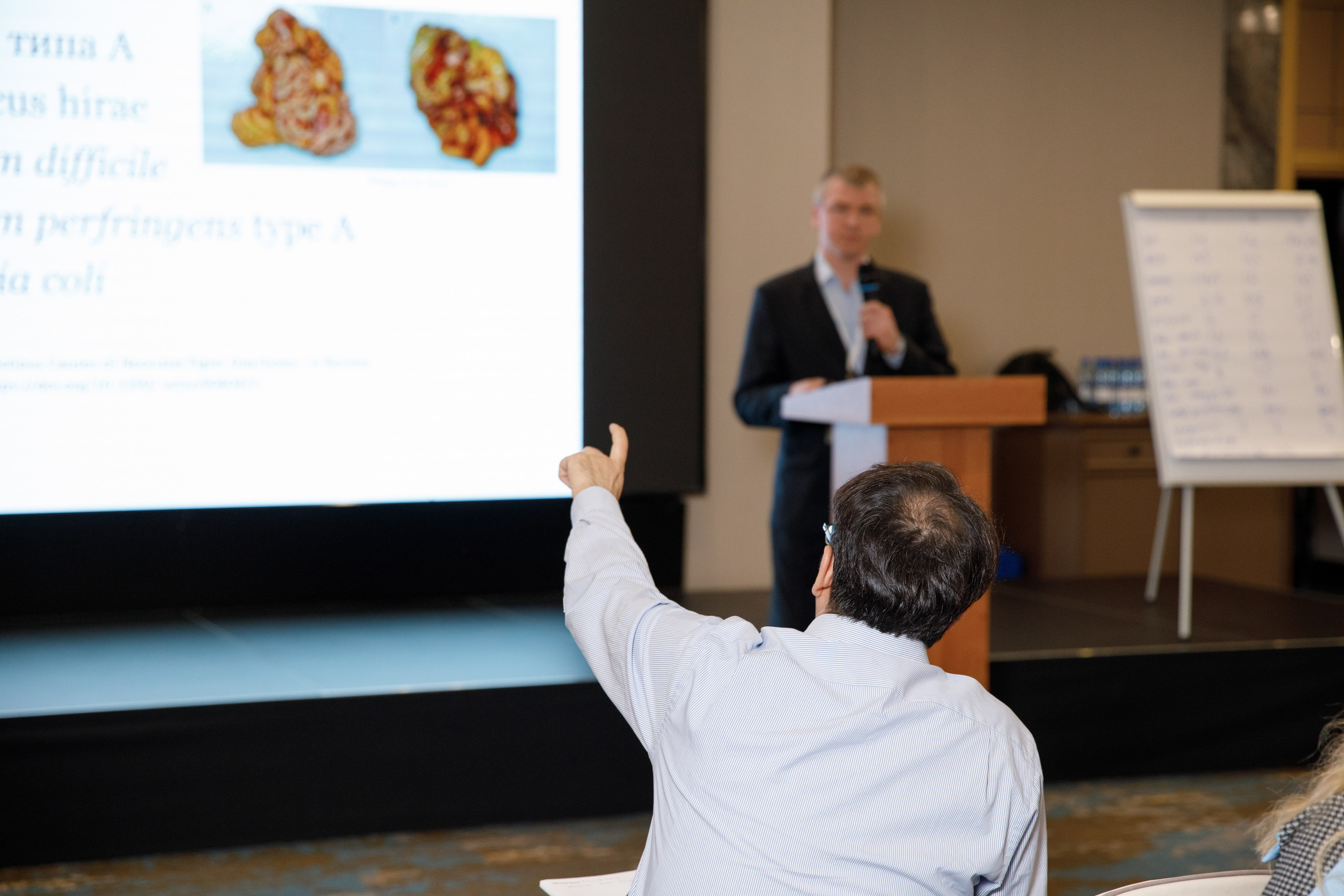 Семинар «KORPAS» во Владикавказе. Фотограф во Владикавказе Юрий Геворгизов