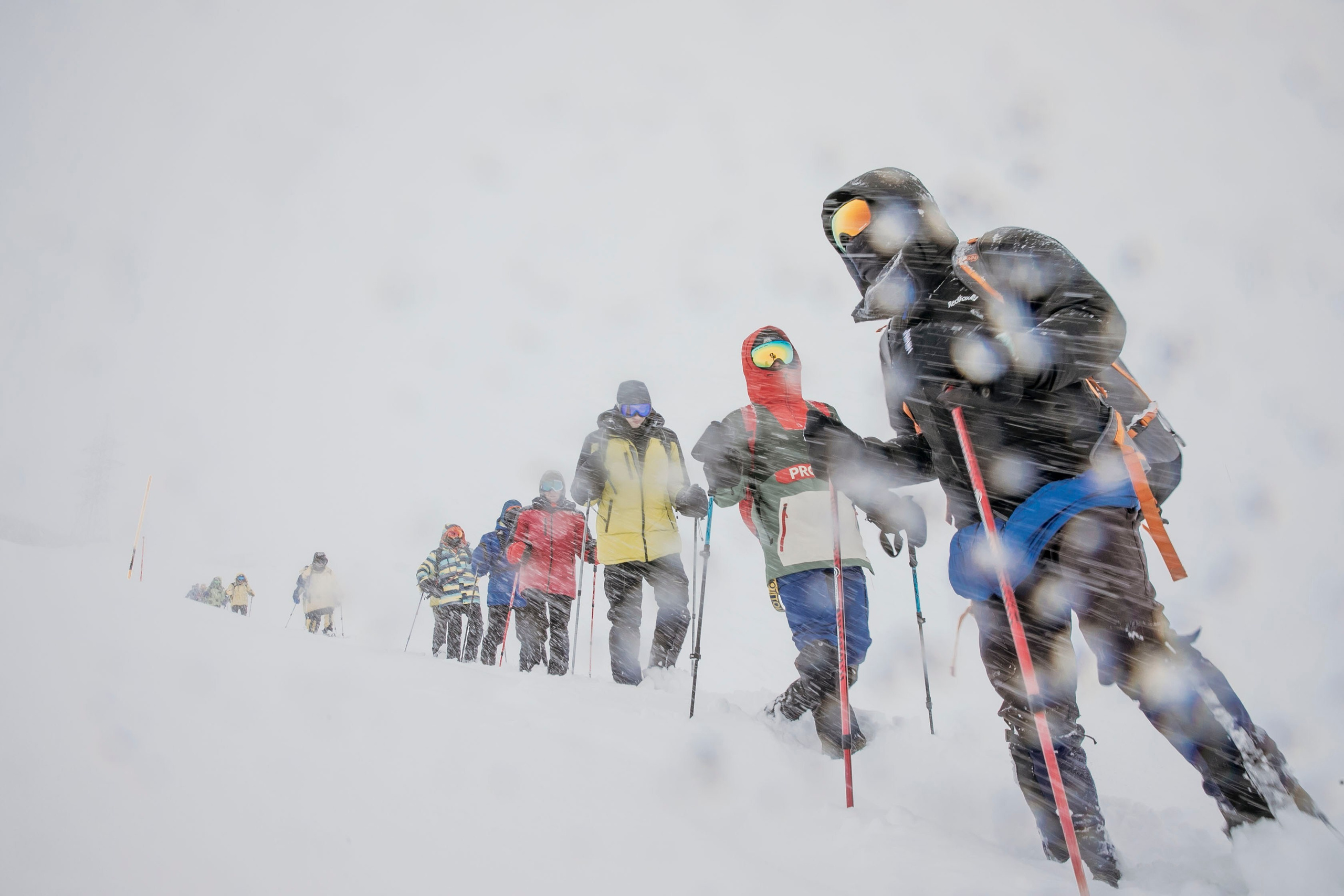 Треккинг / восхождения / активности