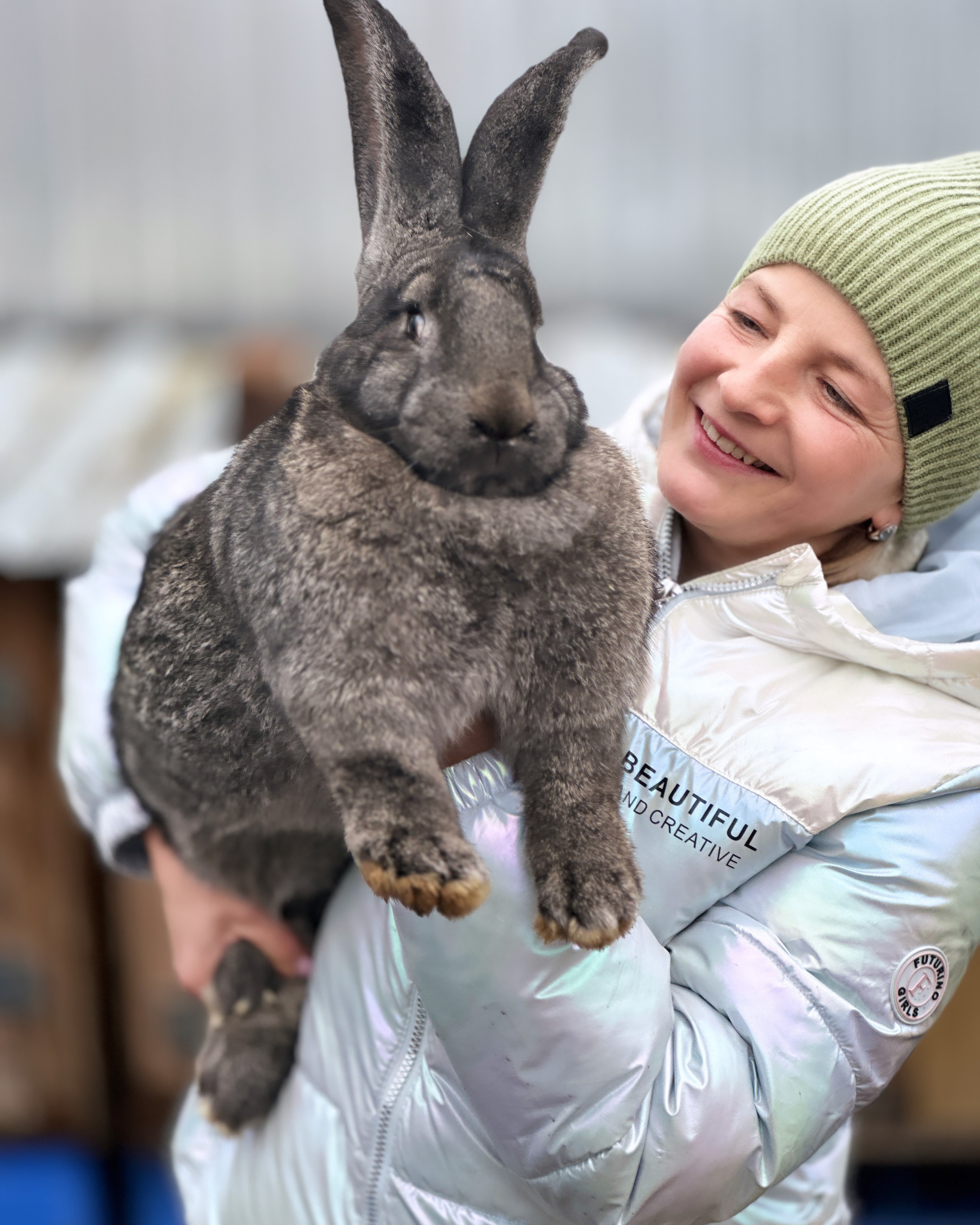 На ферме. Главная