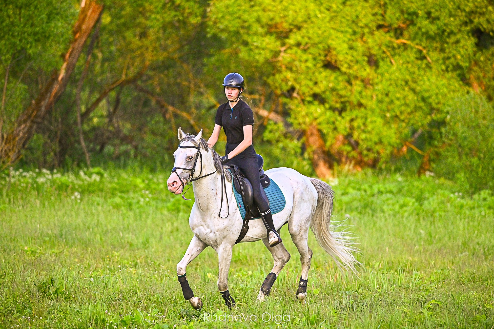 Тренировка КСК Сынково. ТУРНИРНАЯ КОННАЯ ФОТОГРАФИЯ, Руднева Ольга и Евгений Адеев