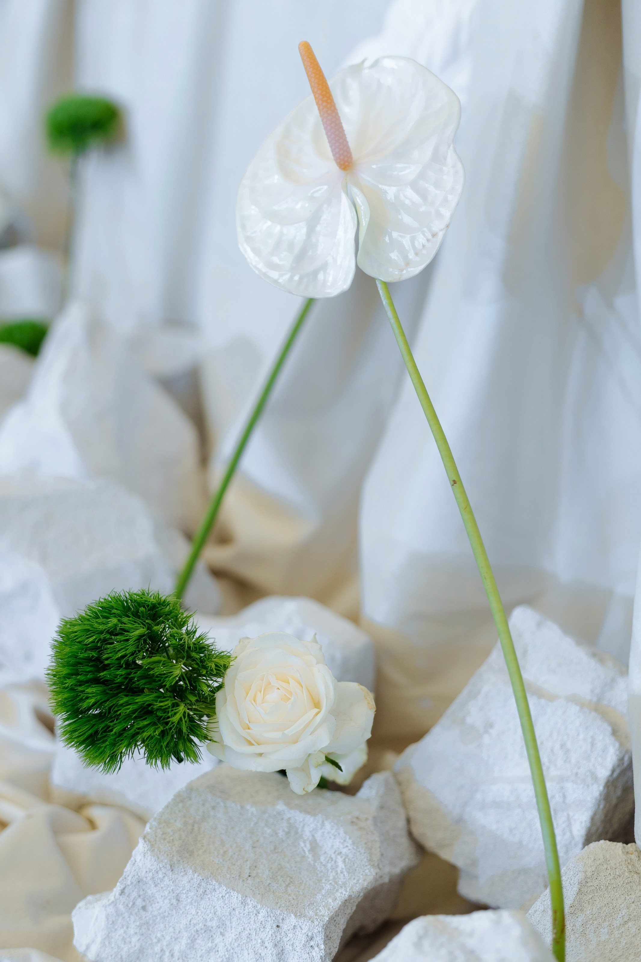 Дмитрий и Николь. Свадебный фотограф в Ростове — на — Дону Александра Пивоварова