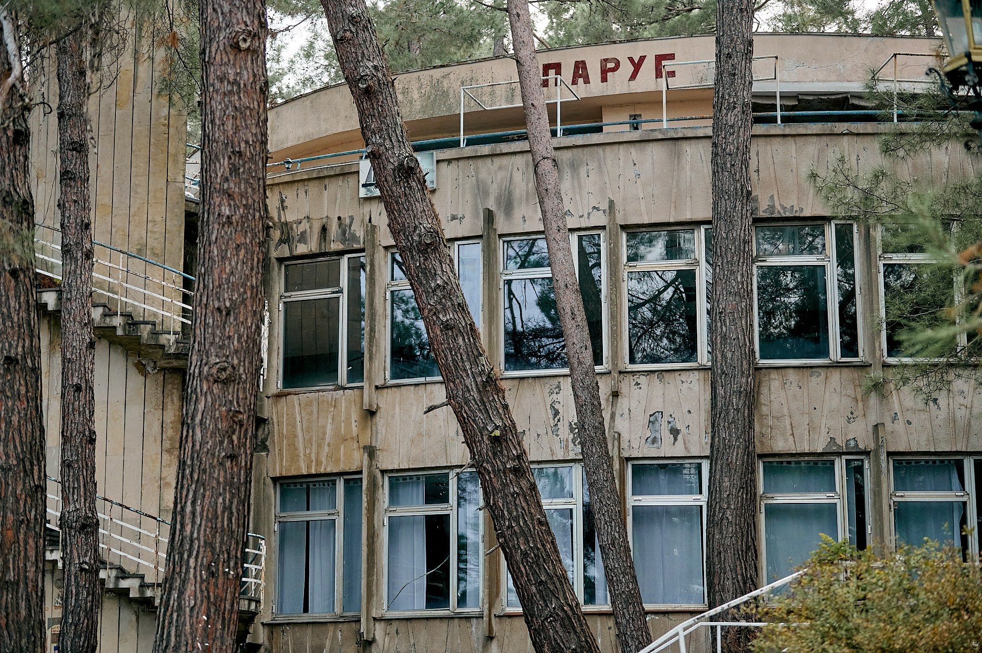 Пицунда, Абхазия. Декабрь 2024. Фотографии отовсюду и обо всем