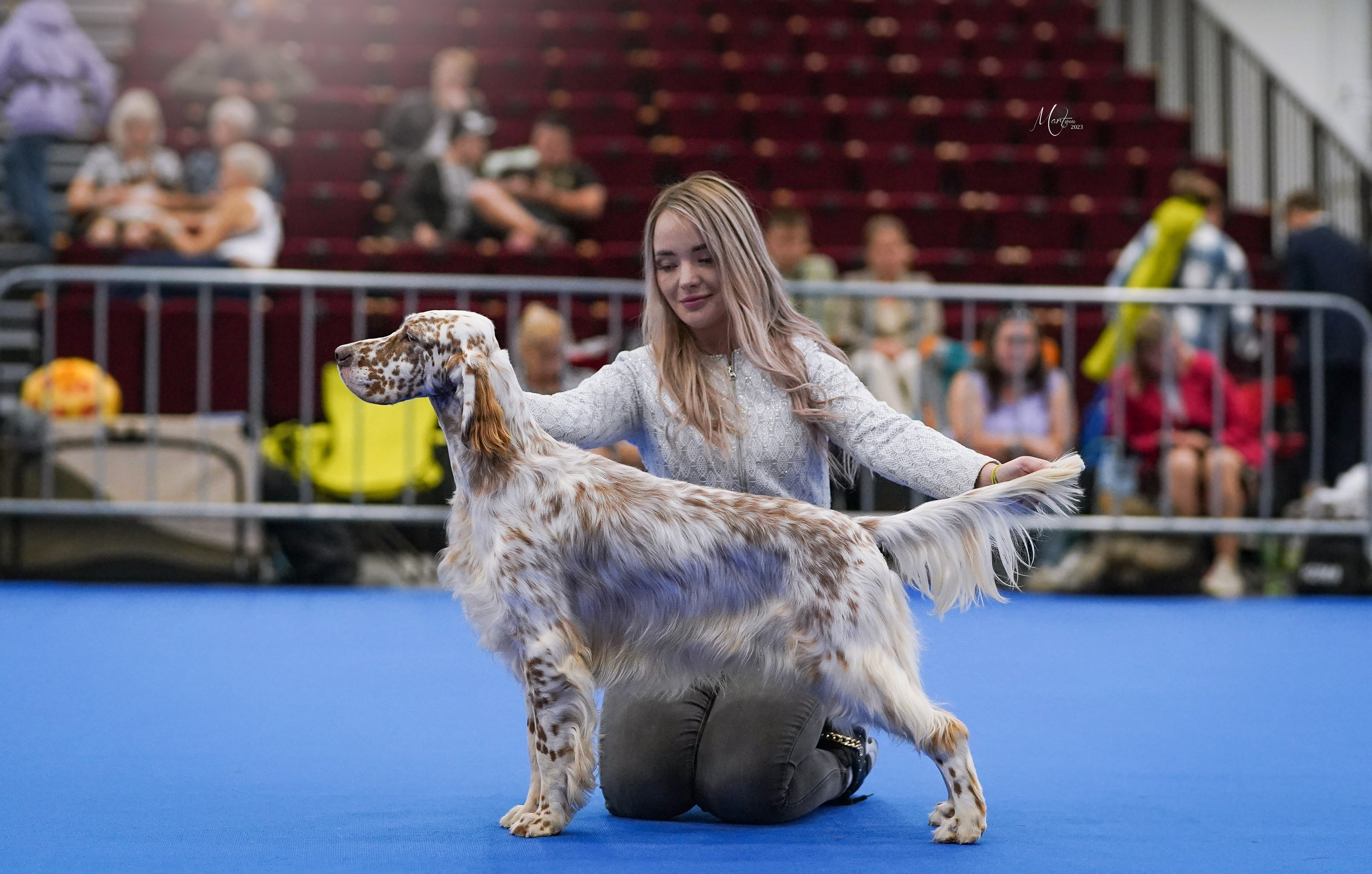 Выставки 2023. Фотограф-анималист в Санкт-Петербурге Яна Мартынова