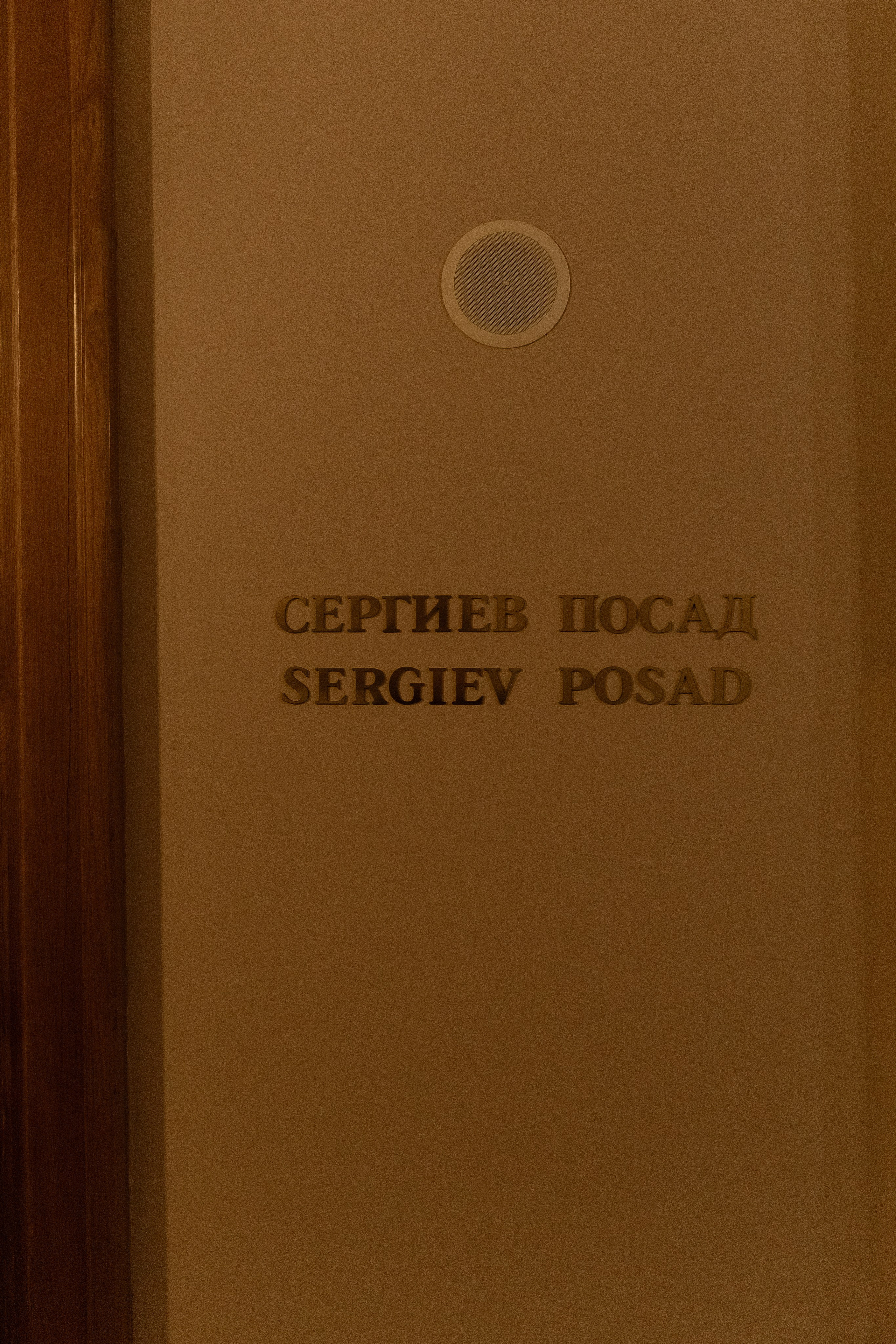 Ксения и Роман. Свадебный фотограф Фадеева Алёна