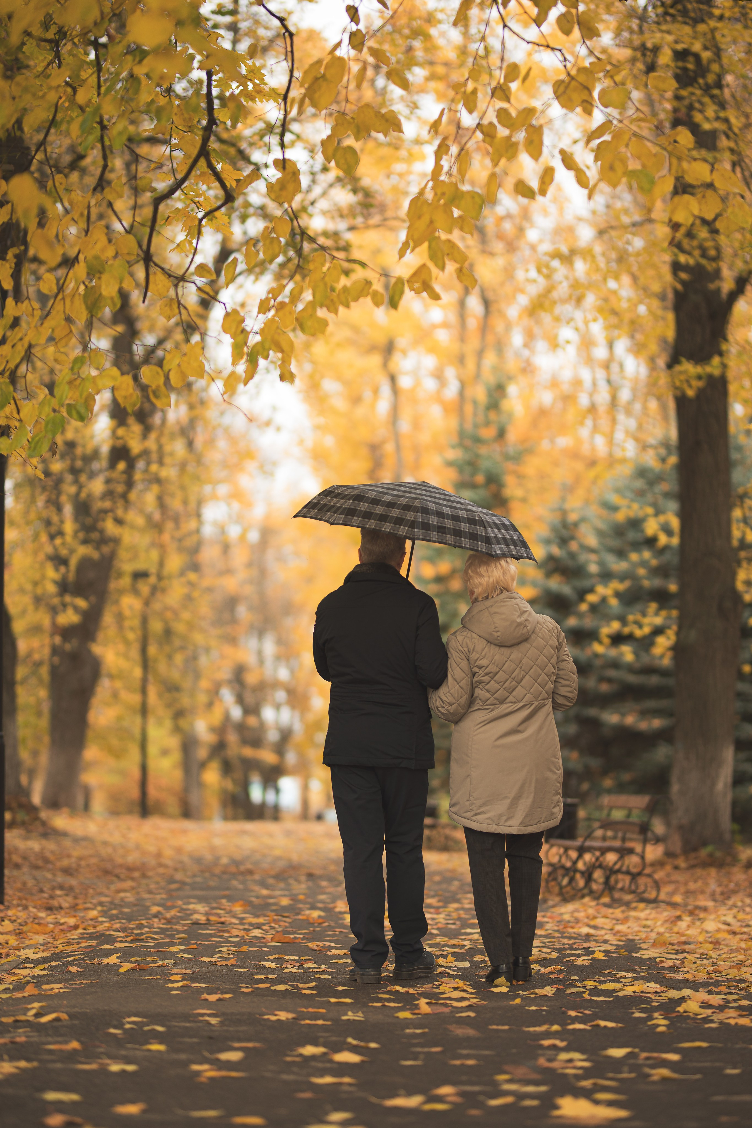 Мира Михайловна и Игорь Николаевич. Фотограф Таинств Крещения и Венчания в г. Курске