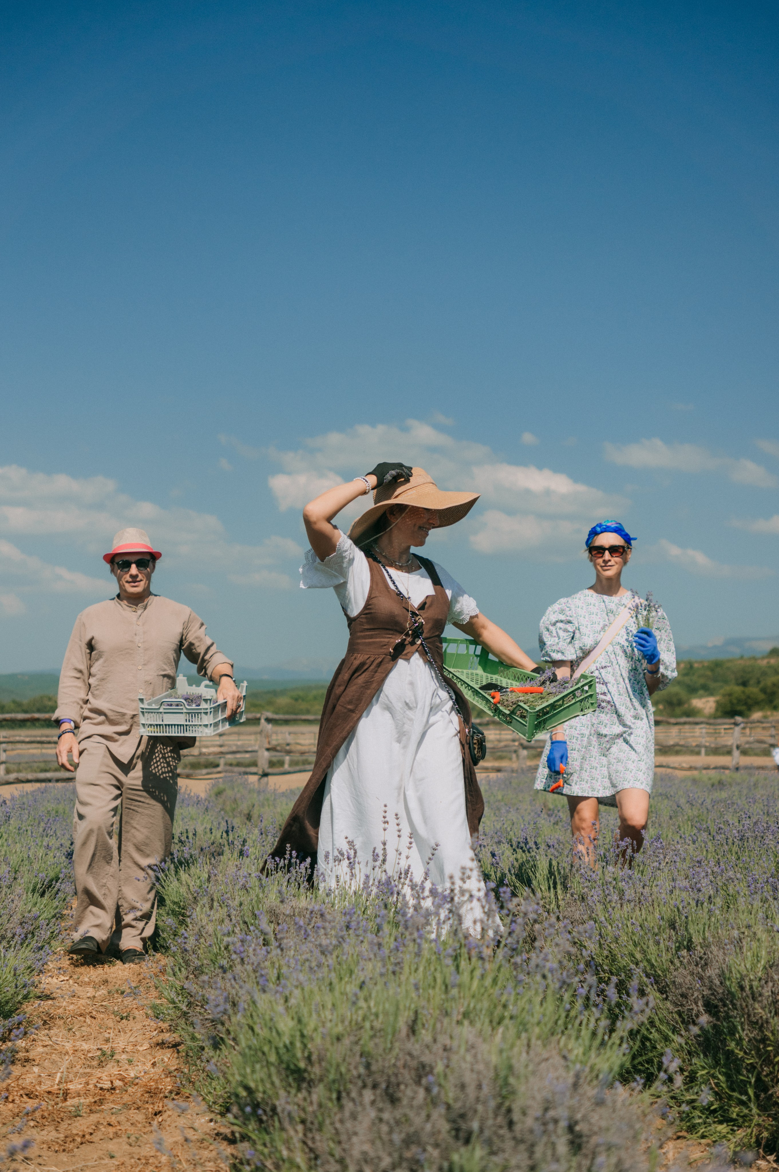 Сбор урожая | лавандовая ферма Viva Lavanda. Обо мне