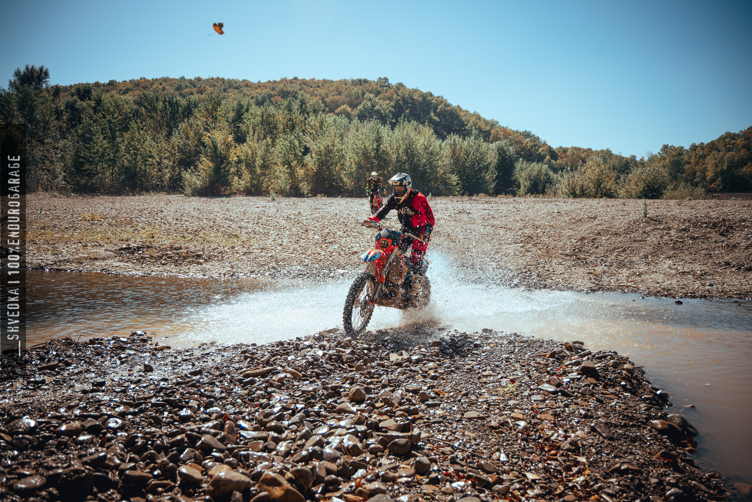 1 лесной день. Ваш экстрим фотограф Кудрева Яна