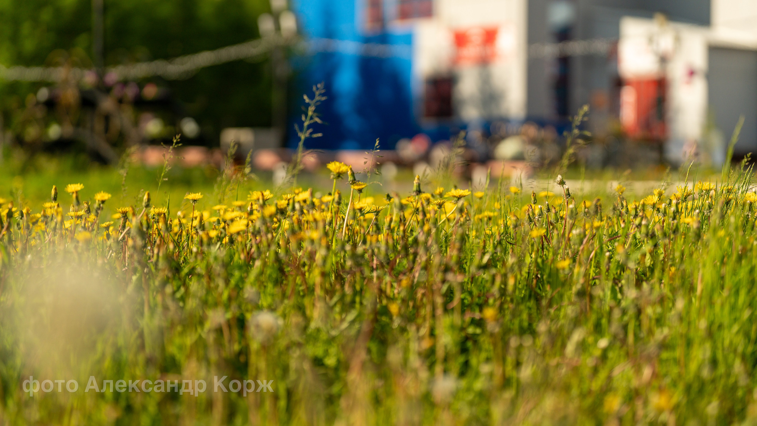 Фотографии Северного поселка Айхал. Фотографии и видеосъемка, Айхал, Удачный, Якутия. Фотографии Айхал