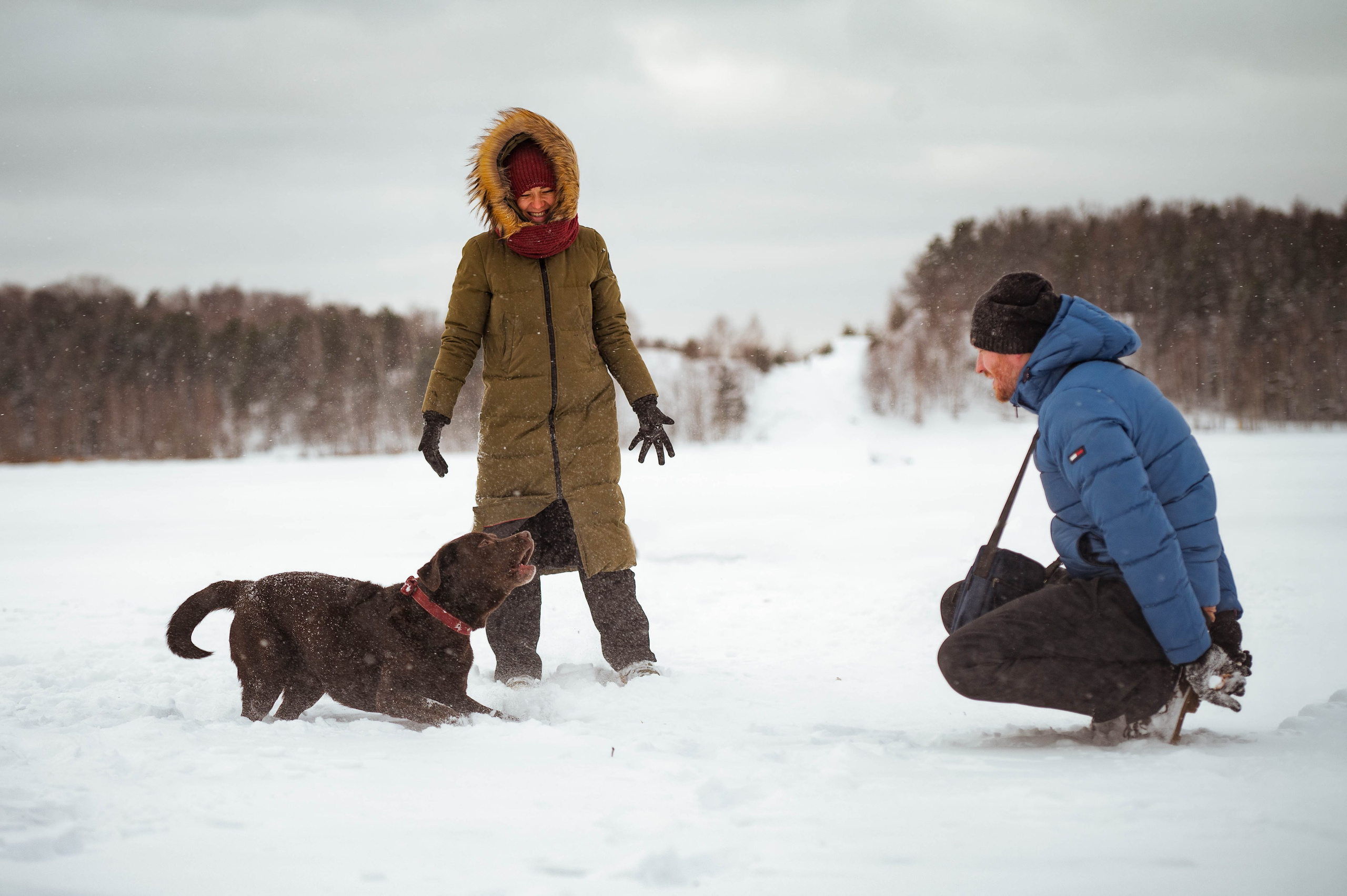 Прогулка на Лыткаринском карьере. Фотограф-анималист