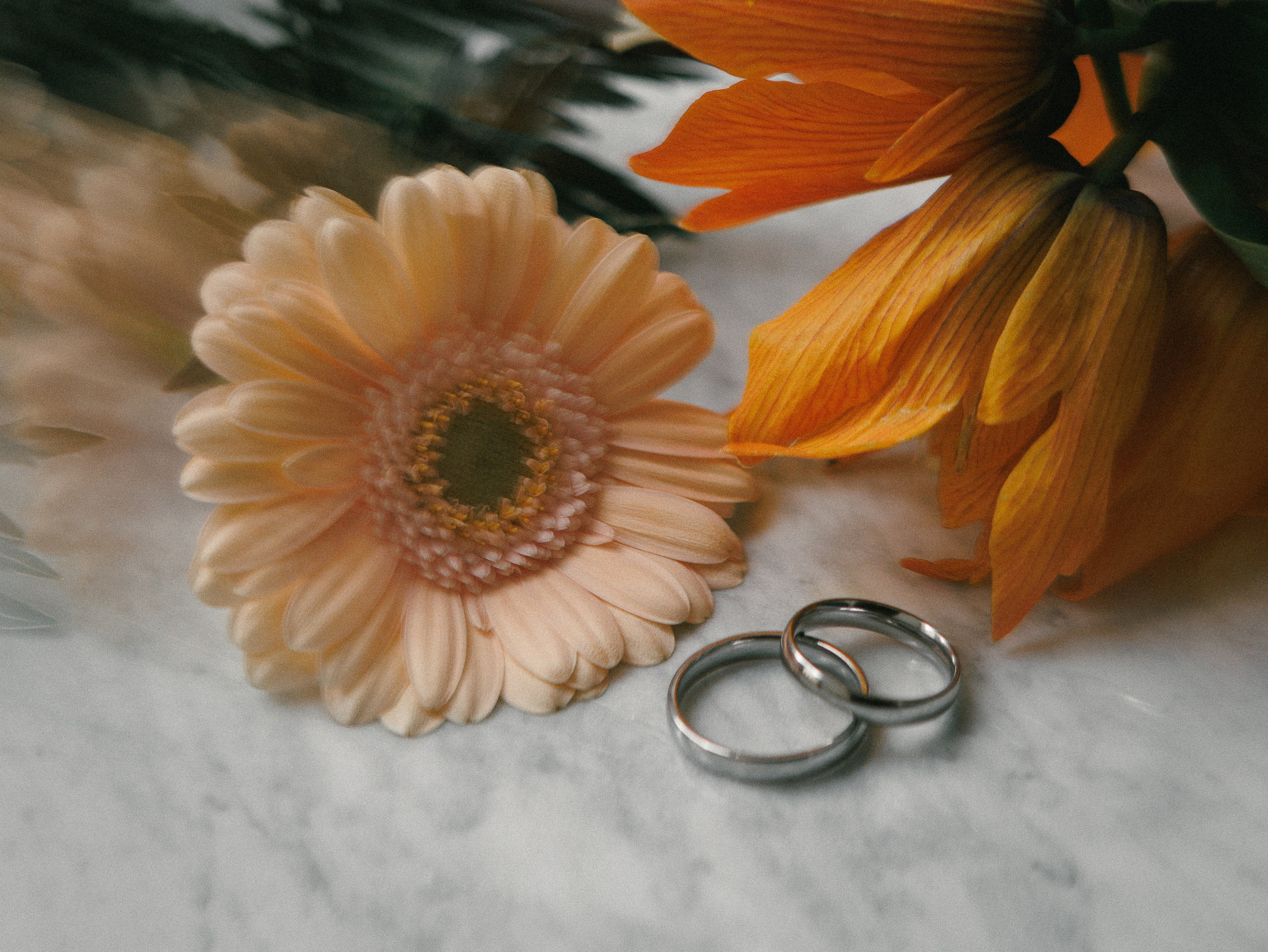 Илья и Мария. Фото и Видеосъемка на ваше мероприятие. Александр Романов