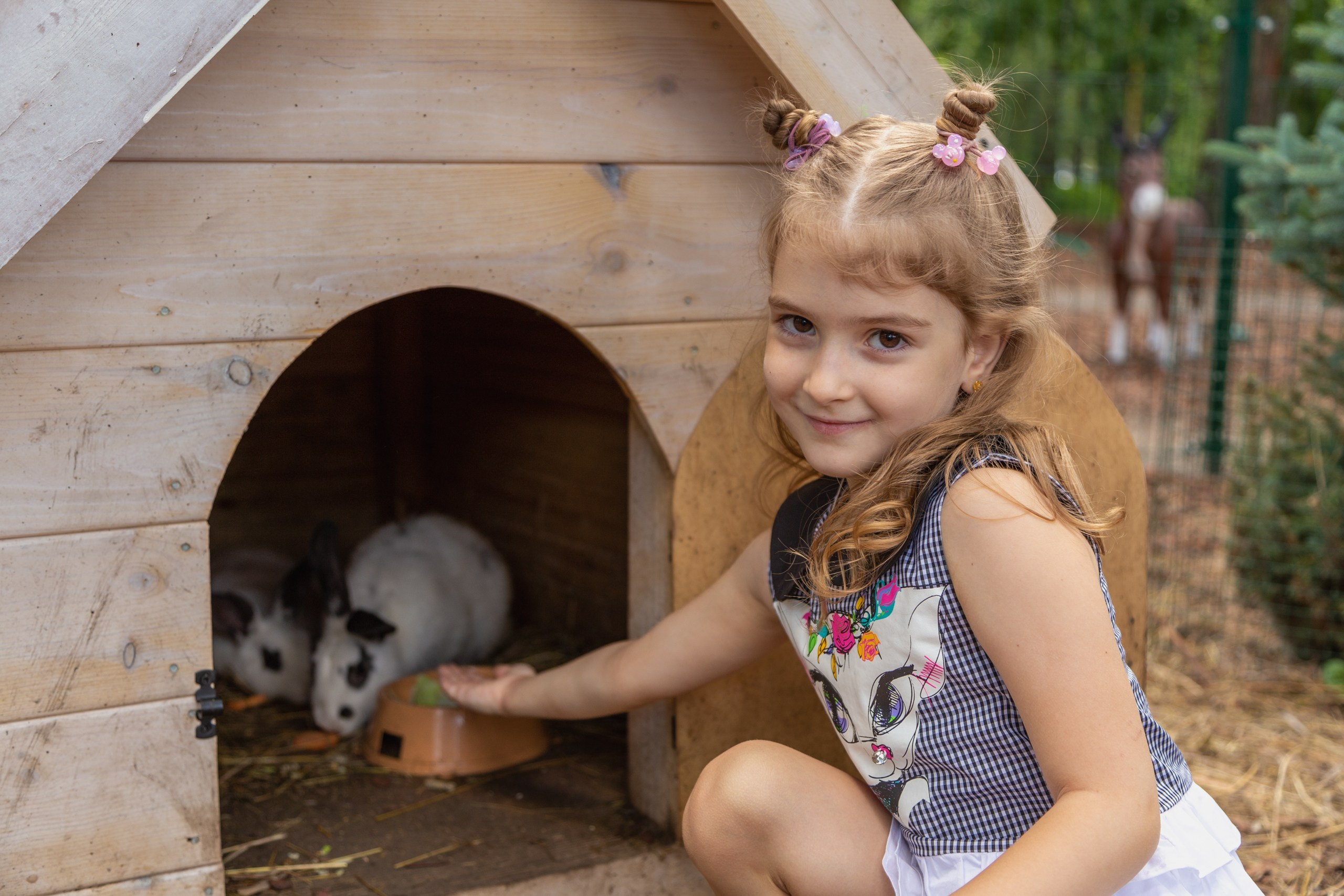 Парк Троя, г. Красноярск, аттракционы. Интерьерный фотограф и ретушер в Красноярске Денис Антропов