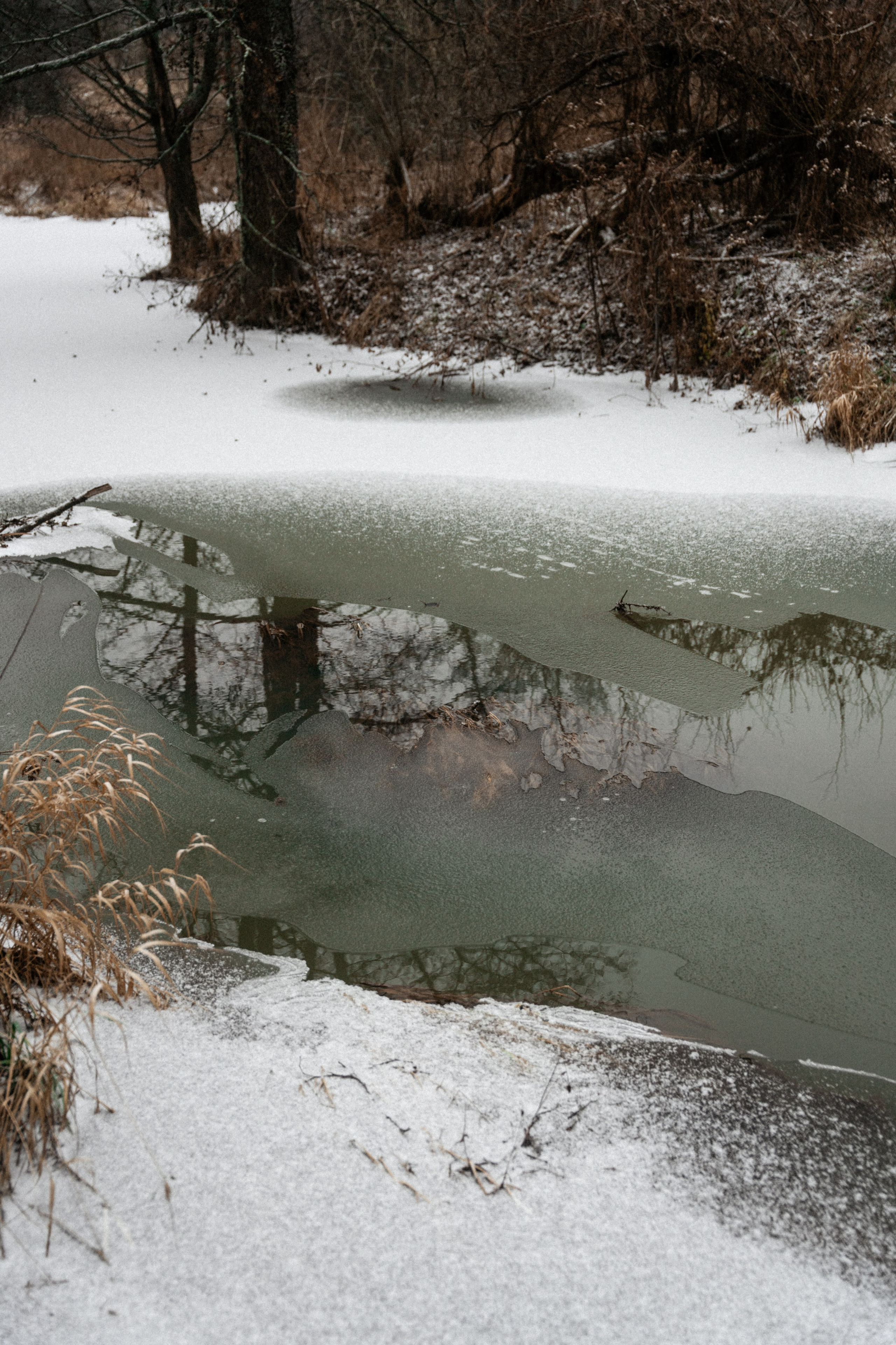 Прогулка по оврагу близ реки. Vlad Trykov