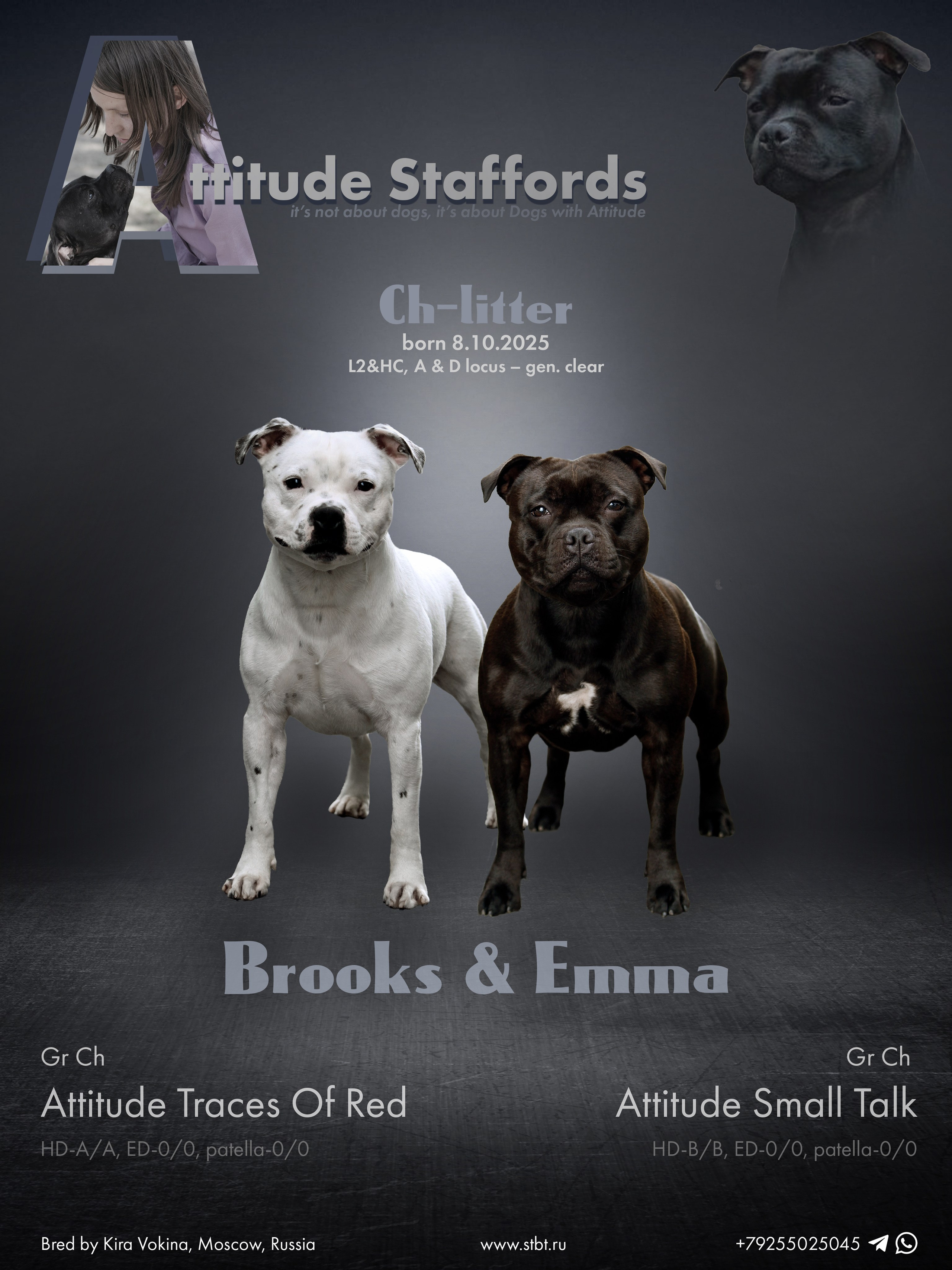 Дизайн. Фотограф-анималист в Калуге Мария Шерскова