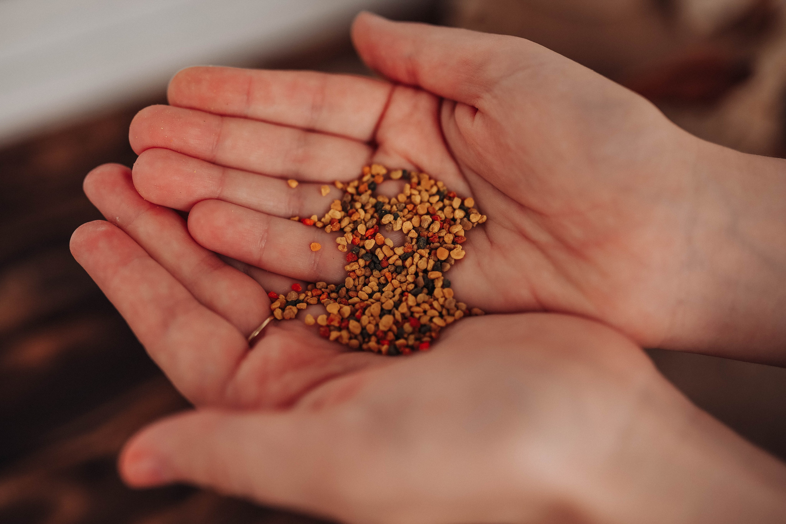 Мед. Фотограф  Ксения Евдокова. Дзержинск, Нижний, Москва, Питер