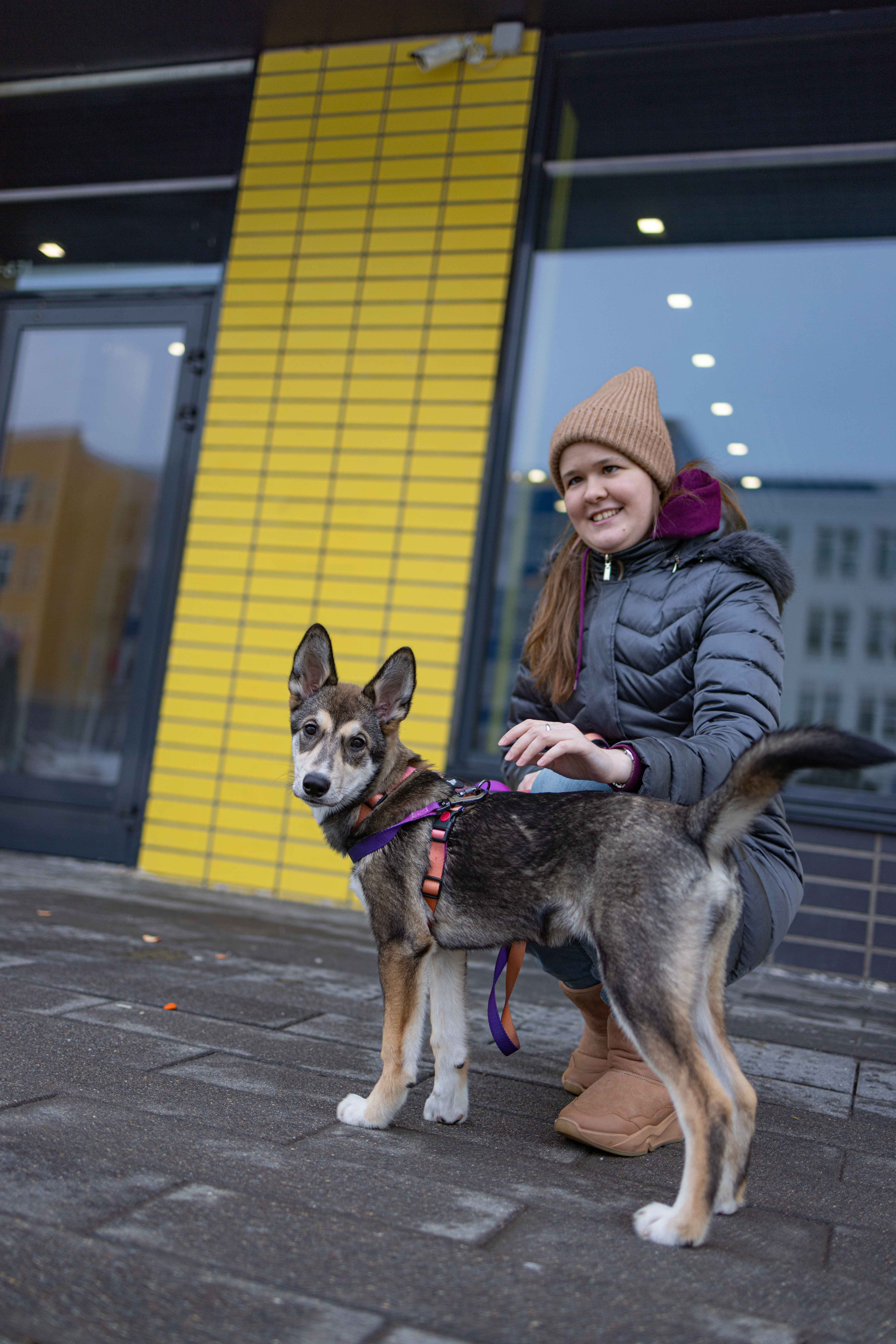 Шами. Фотограф-анималист в Москве Лера Черноног